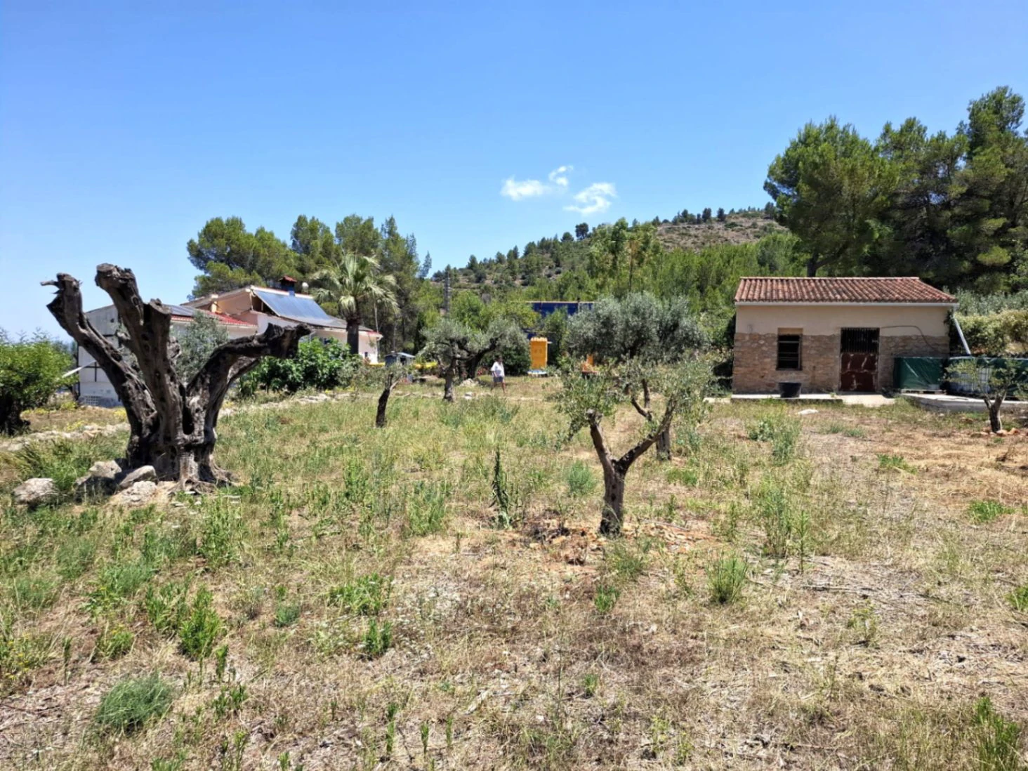 Finca con mucho encanto en Parcent a la Venta