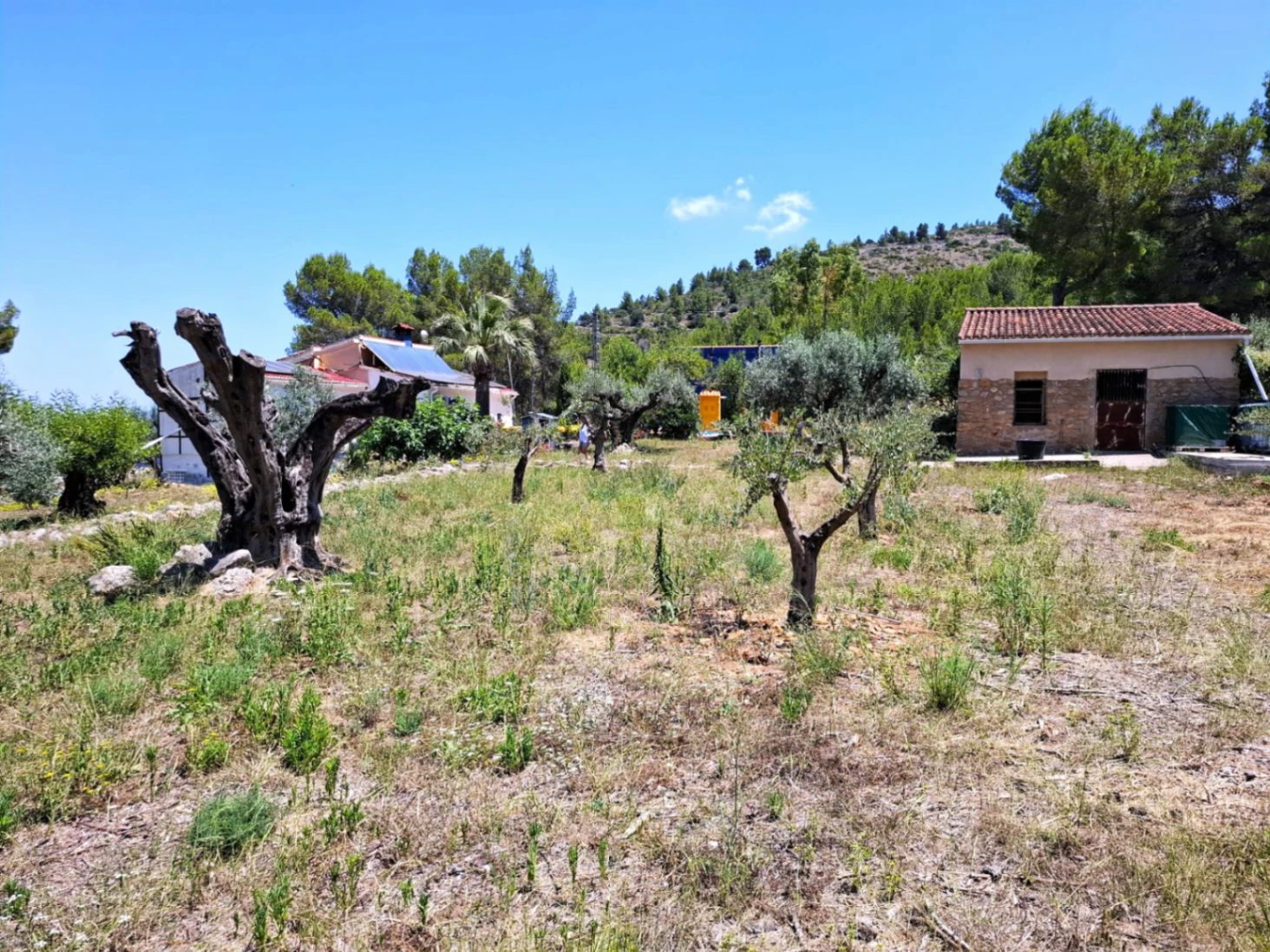 Finca con mucho encanto en Parcent a la Venta