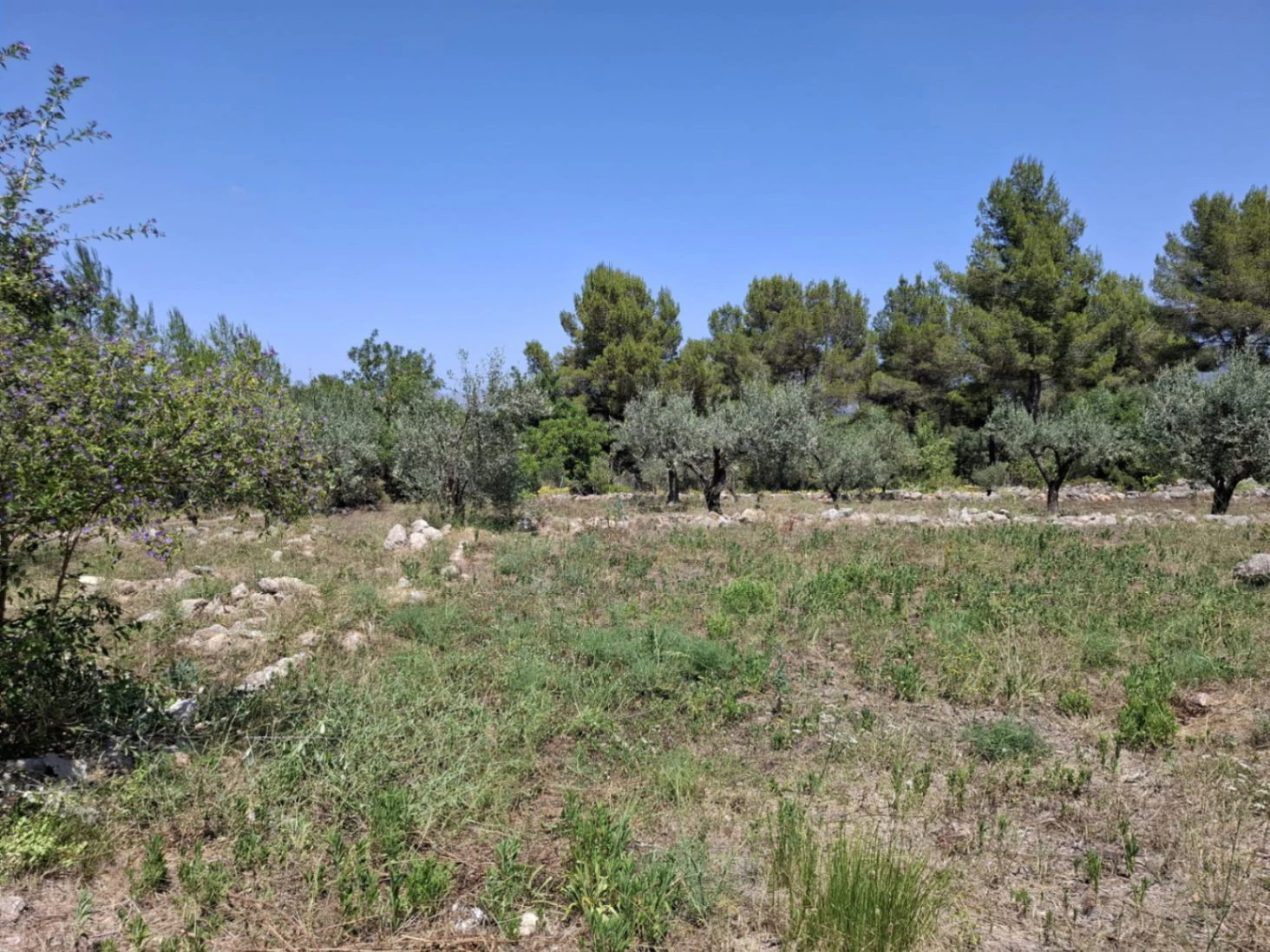 Finca con mucho encanto en Parcent a la Venta