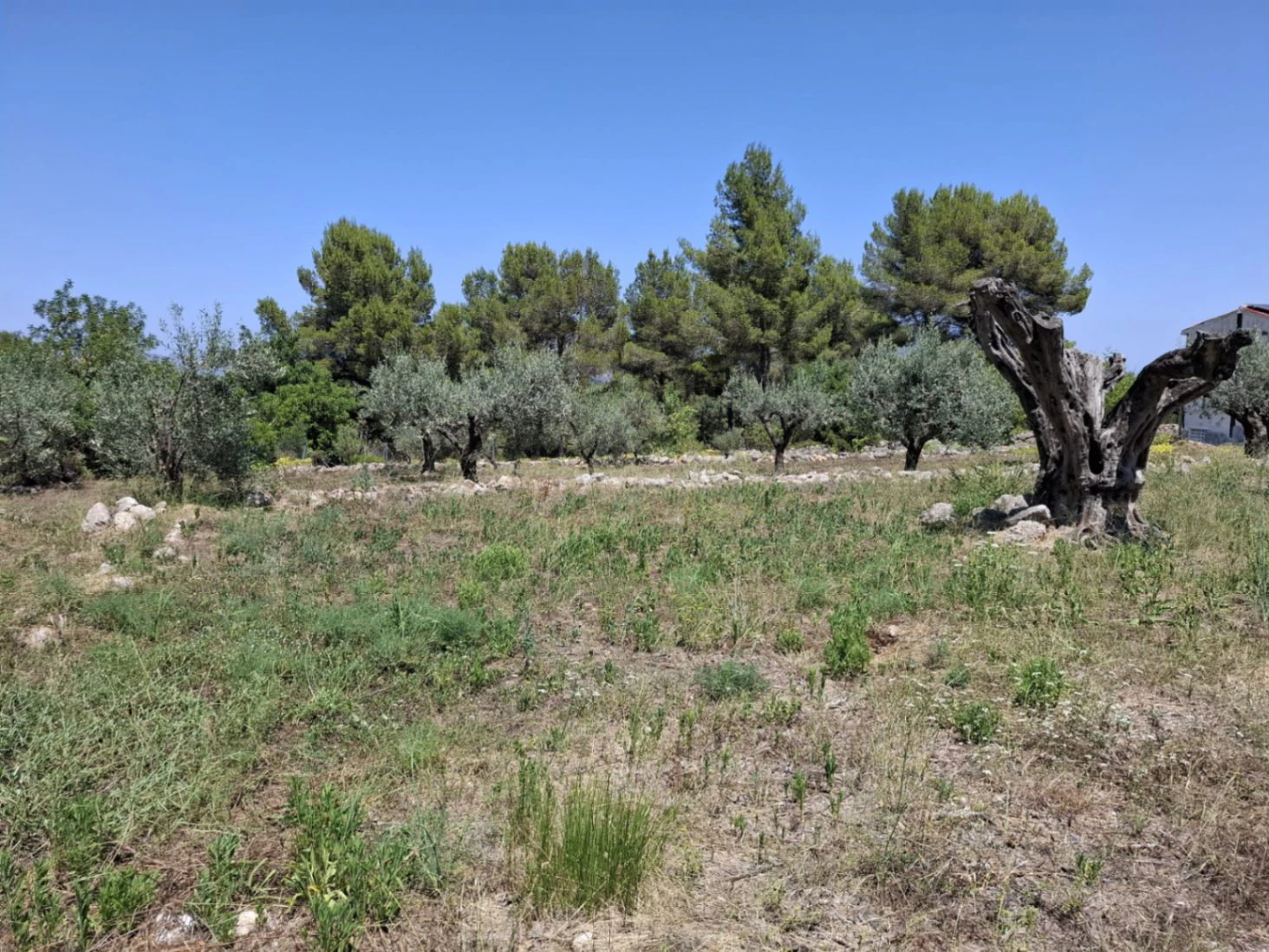 Finca con mucho encanto en Parcent a la Venta