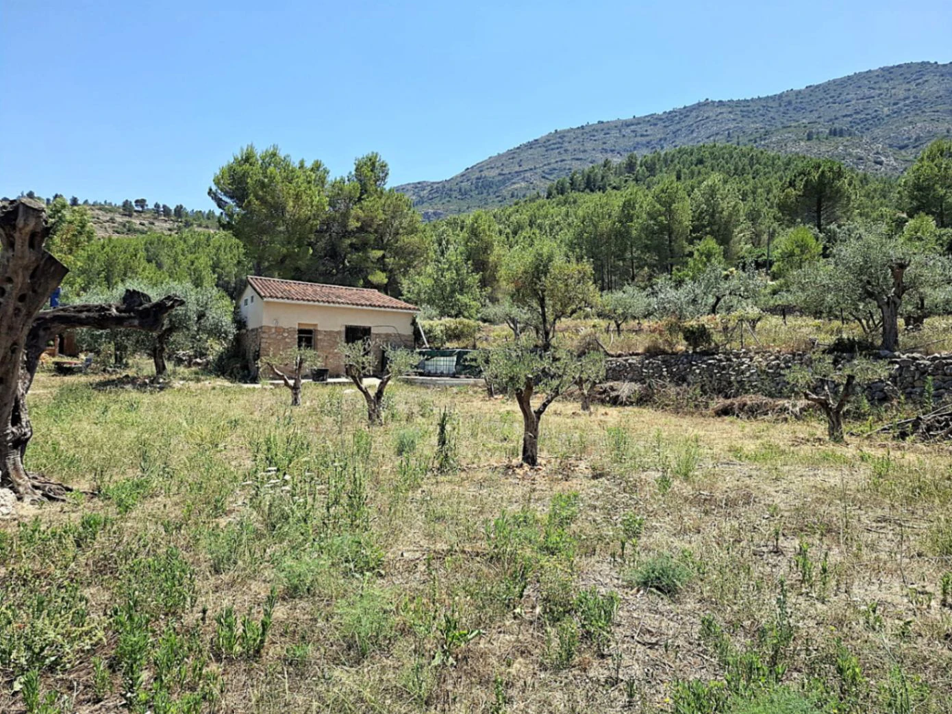 Finca con mucho encanto en Parcent a la Venta
