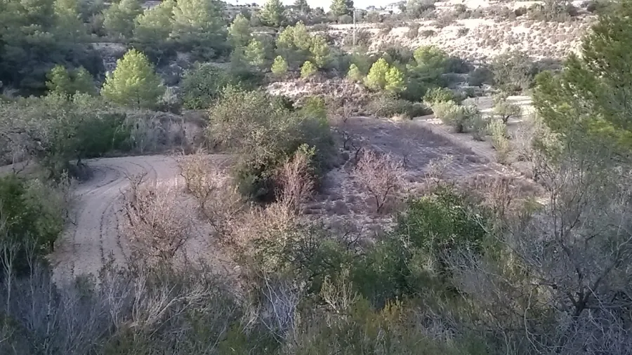 Parcela en venta en Calpe