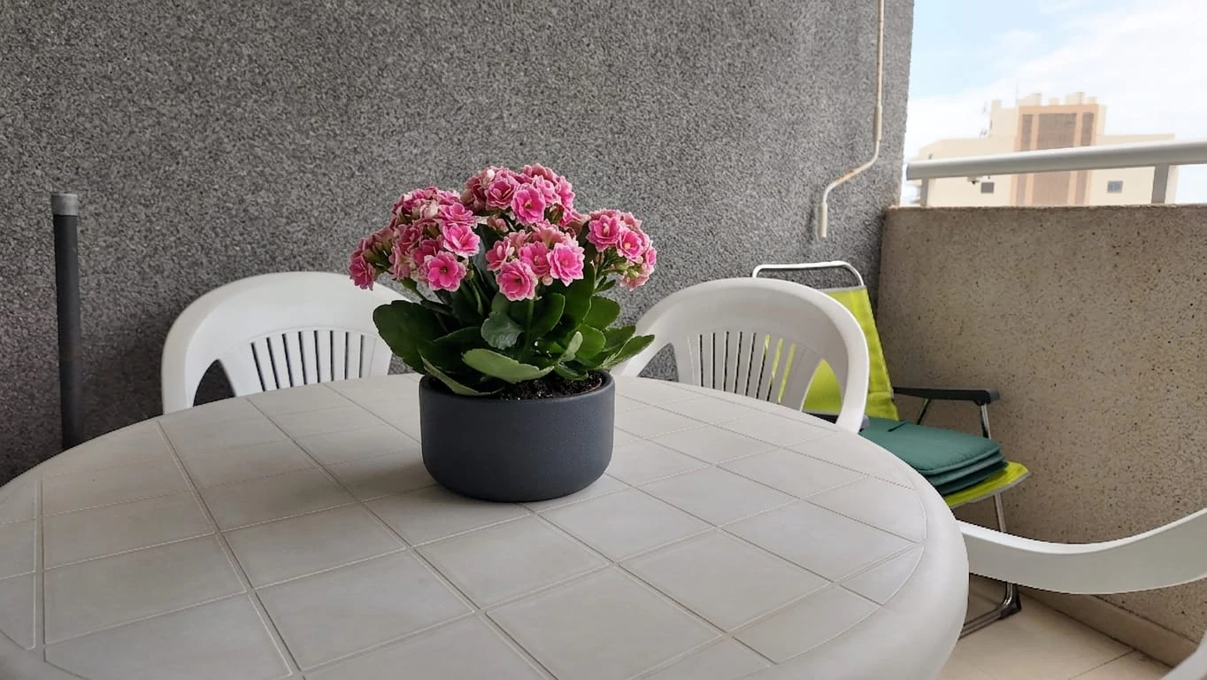 Venta de acogedor apartamento de 1 dormitorio en Calpe, Puerto