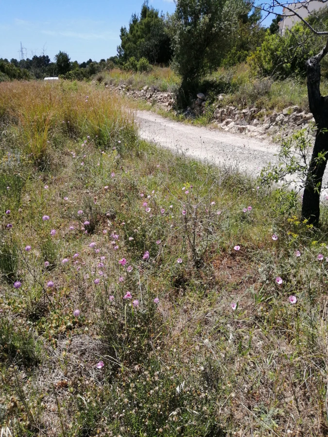Parcela en venta en Calpe
