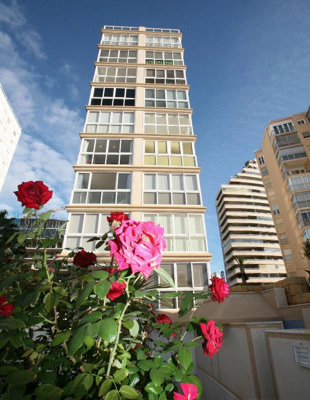 Edificio La Joya / Playa Arenal-Bol