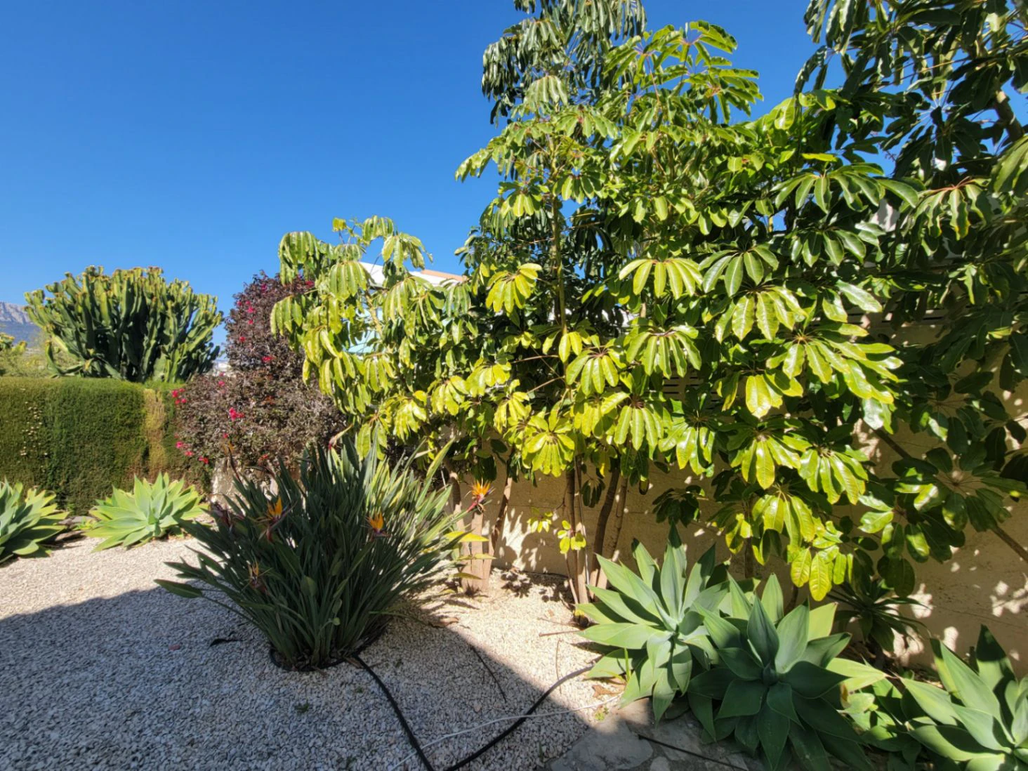 VILLA UBICADA EN MUY BUENA ZONA
