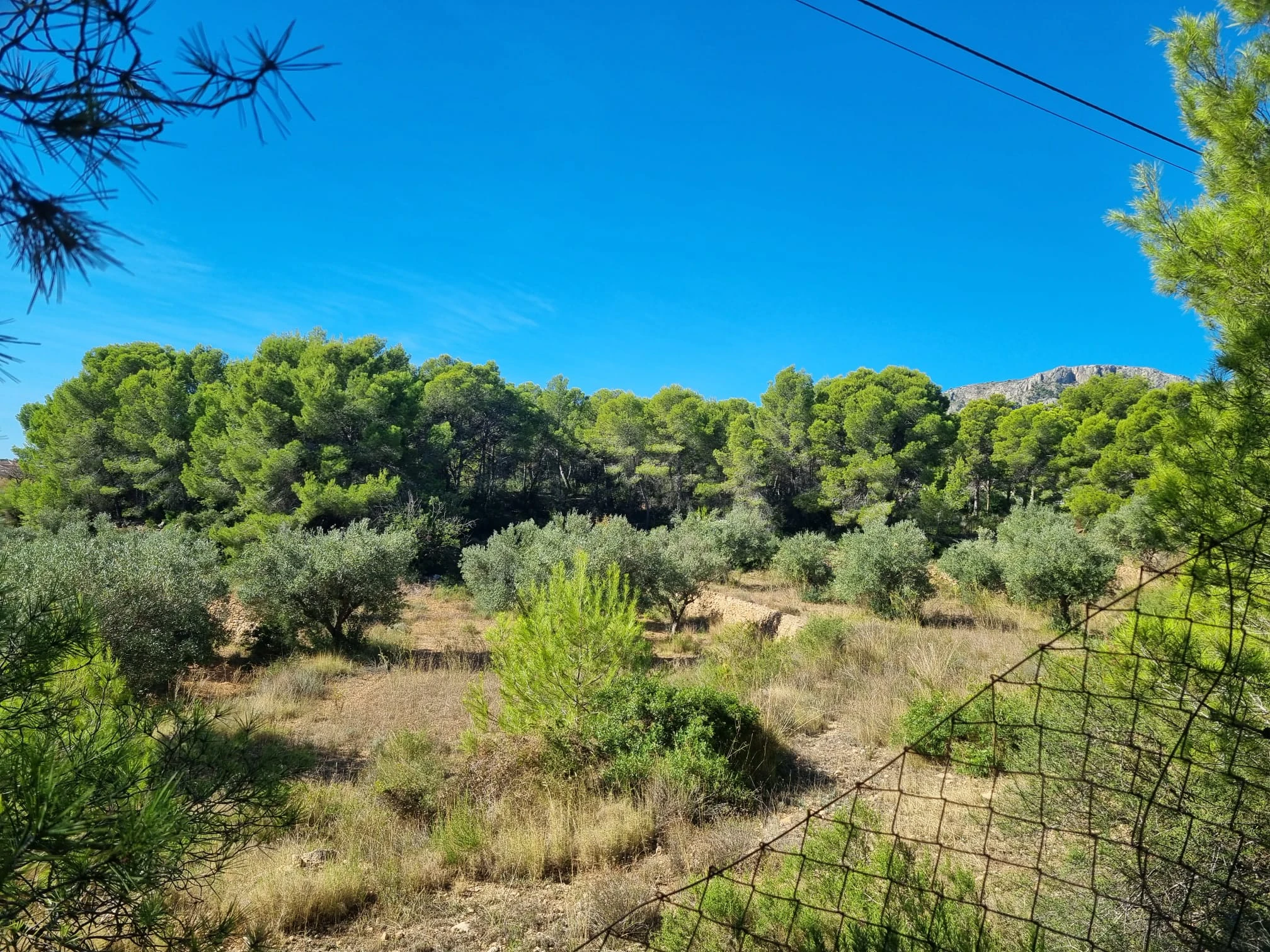 TERRENO RUSTICO EN URBANIZACION GARDUIX DE 17.000 METROS CON VISTAS AL MAR Y PEÑON.