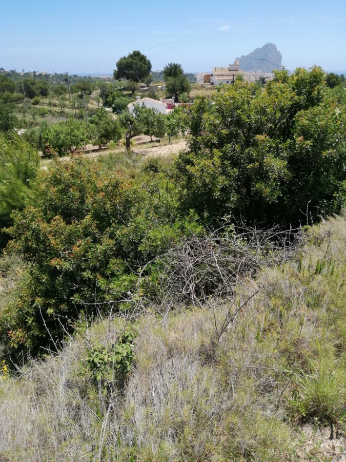 Parcela en venta en Calpe