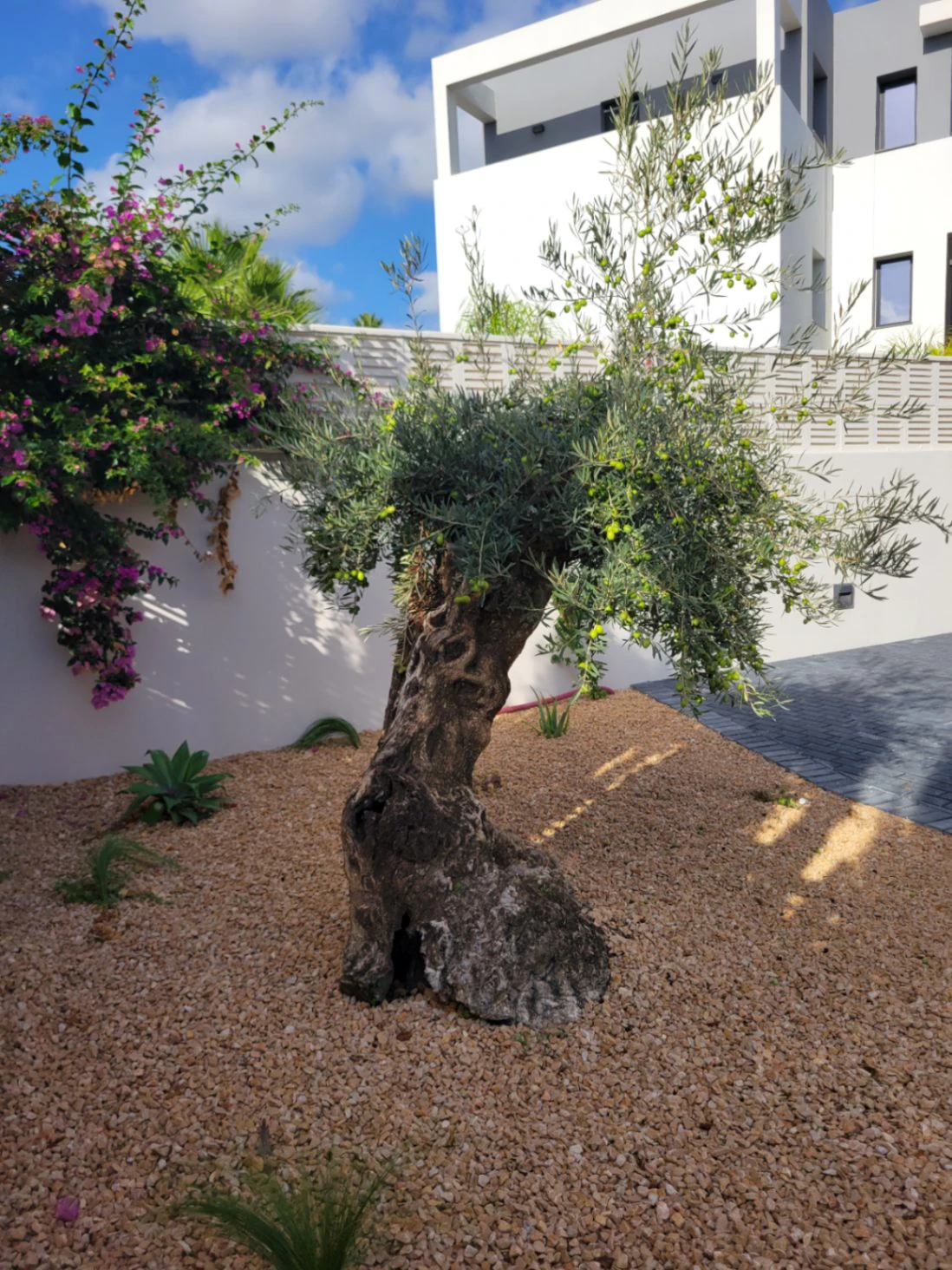VILLA DE NUEVA CONSTRUCCION CERCA DE TODOS LOS SERVICIOS