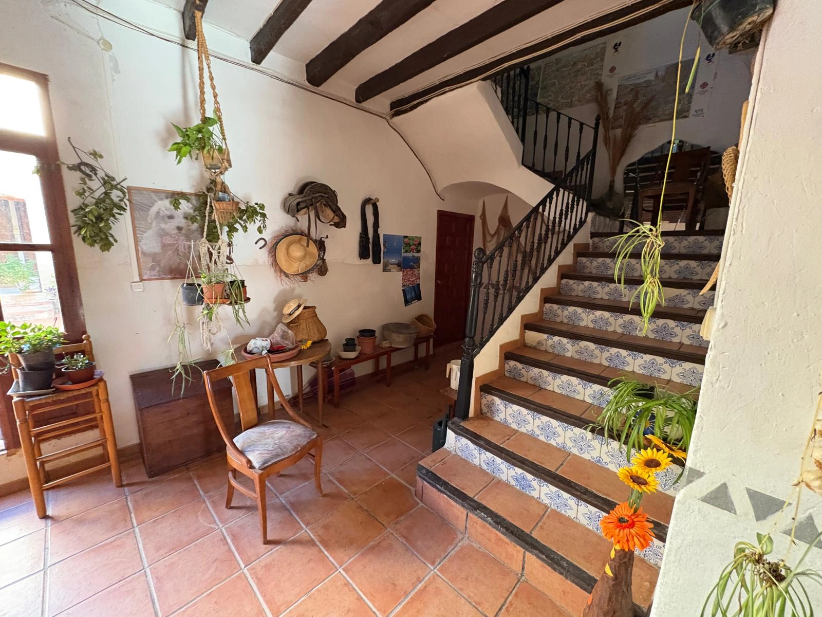 8216 - FINCA EN PLENA NATURALEZA  CON MUCHA TRAQUILIDAD