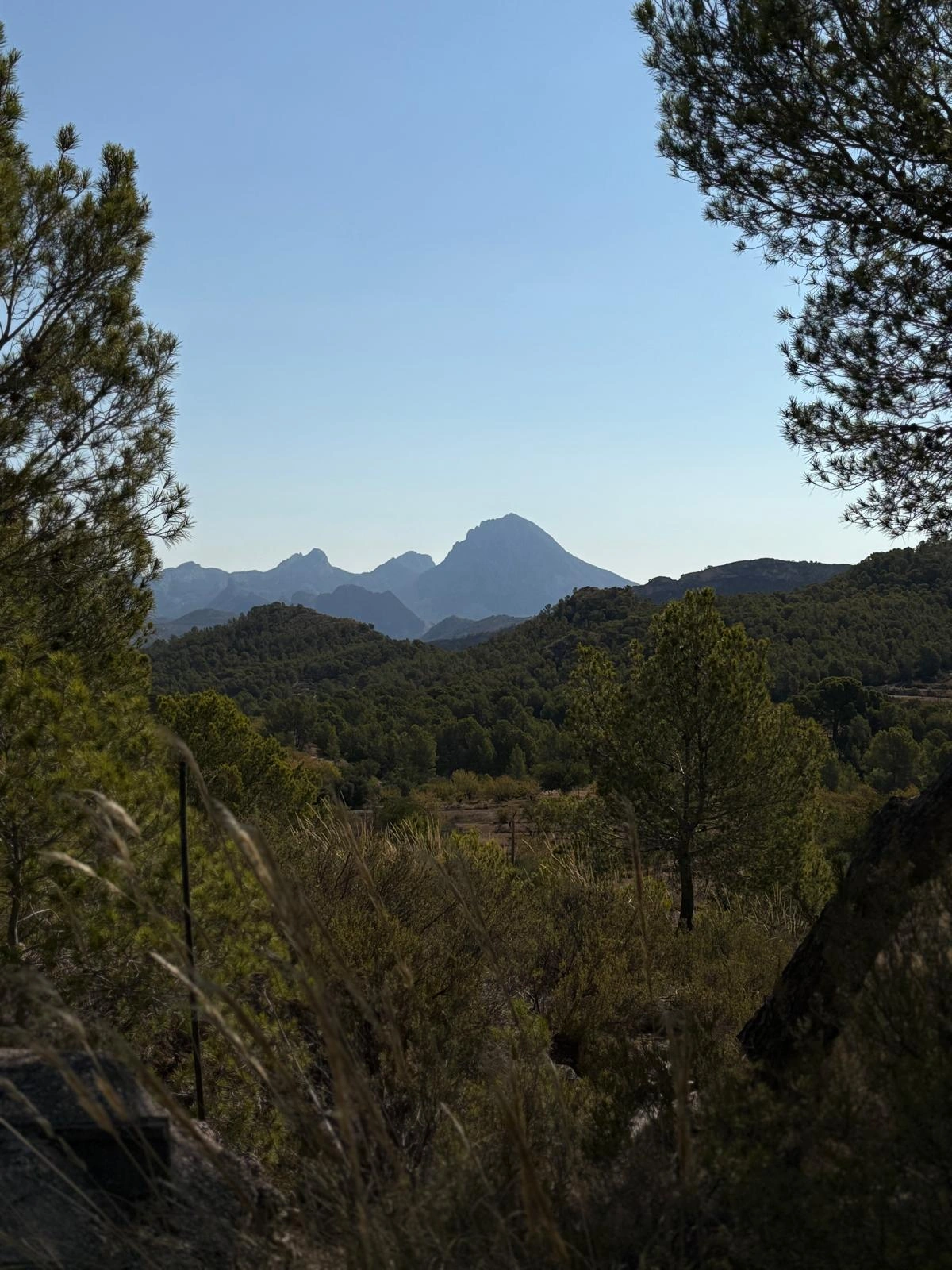 8216 - FINCA EN PLENA NATURALEZA  CON MUCHA TRAQUILIDAD