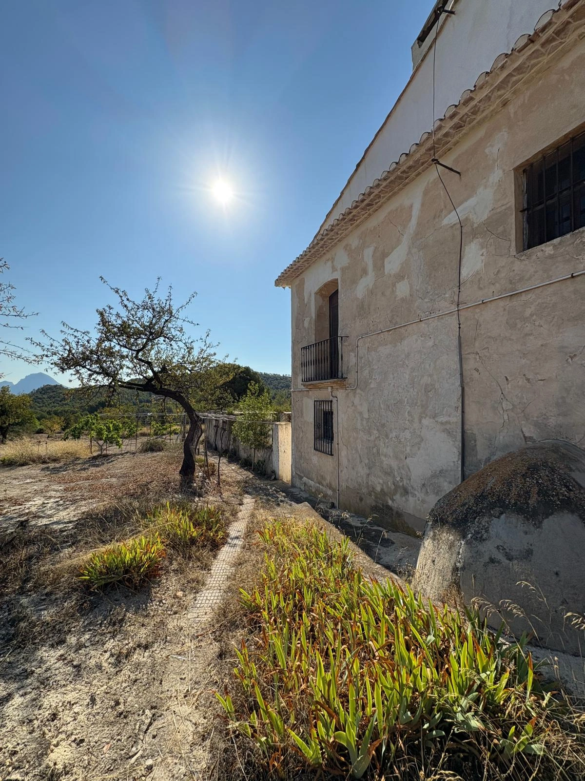 8216 - FINCA EN PLENA NATURALEZA  CON MUCHA TRAQUILIDAD