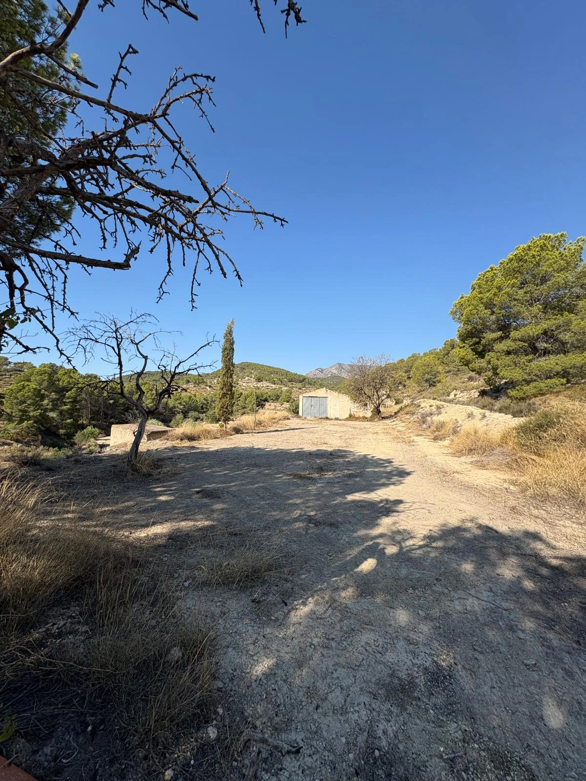 8216 - FINCA EN PLENA NATURALEZA  CON MUCHA TRAQUILIDAD