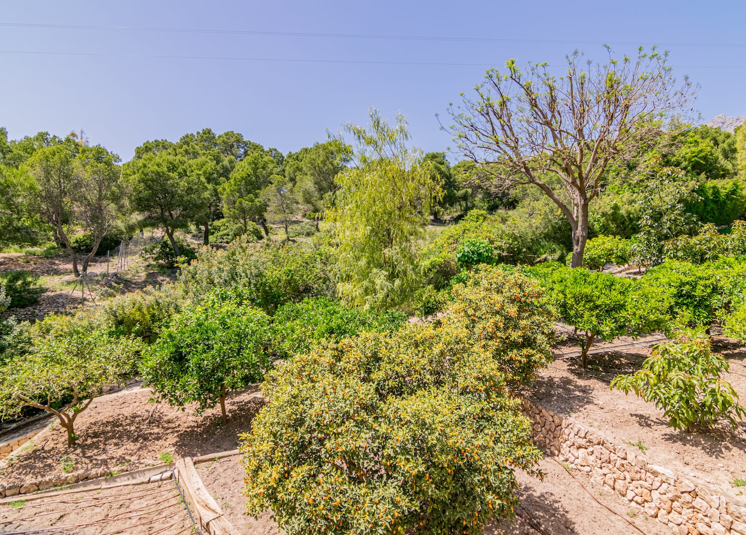 For Sale. Villa in Altea
