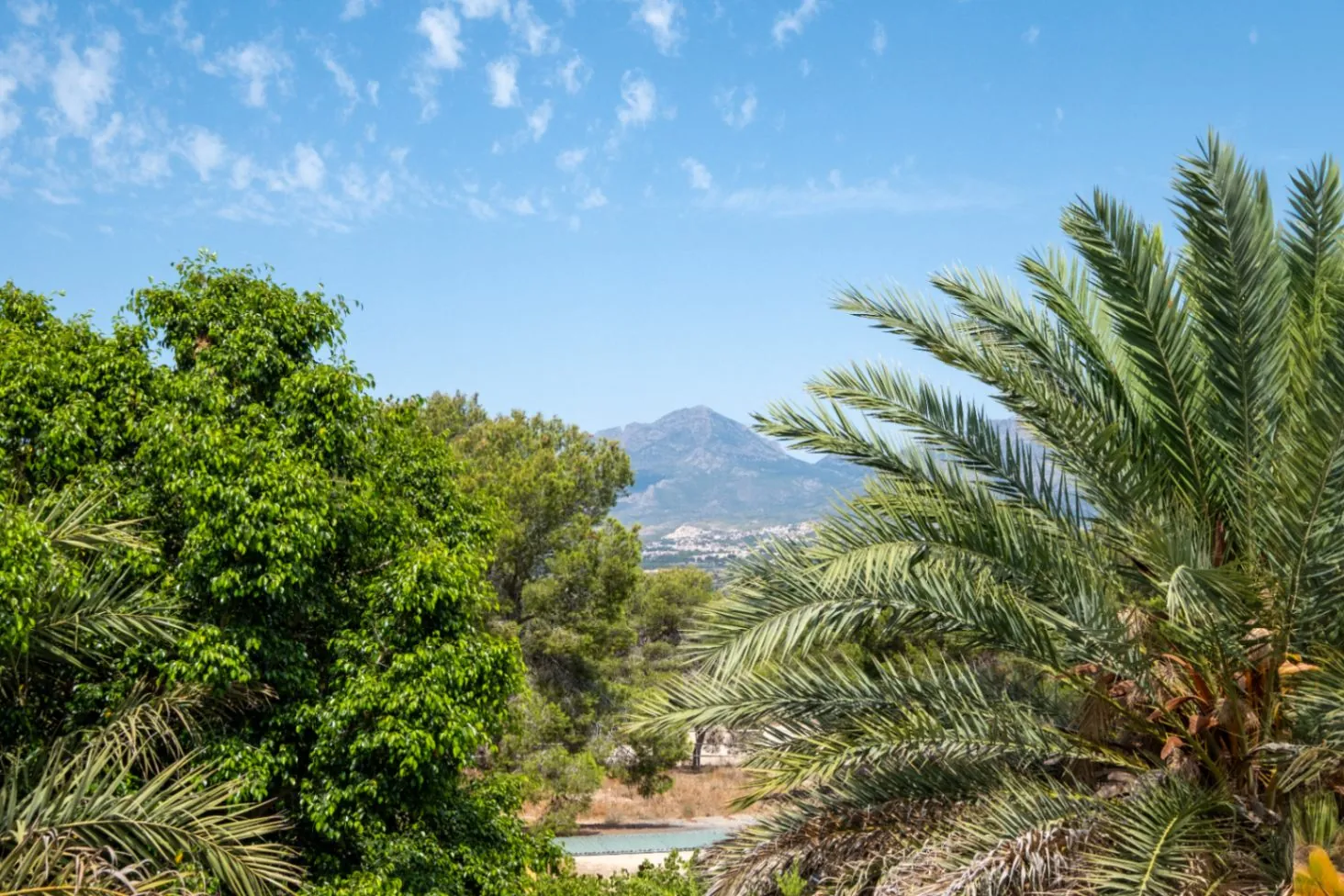 Two Villas – Nature, Privacy, and Versatility in a Unique Setting Next to Sierra Helada