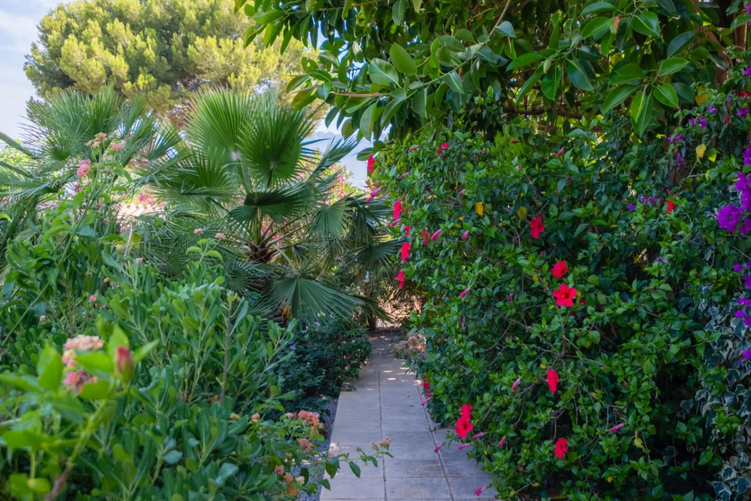 Where Tranquility Flourishes: House with Charming Garden and Pool in Albir