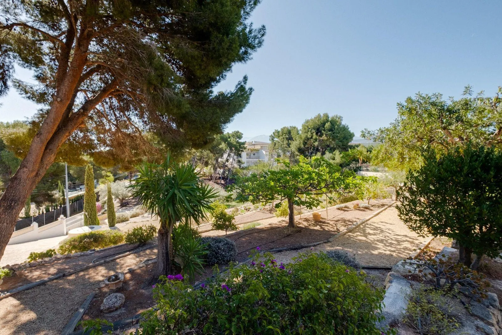 Luxurious and elegant villa with wonderful sea views