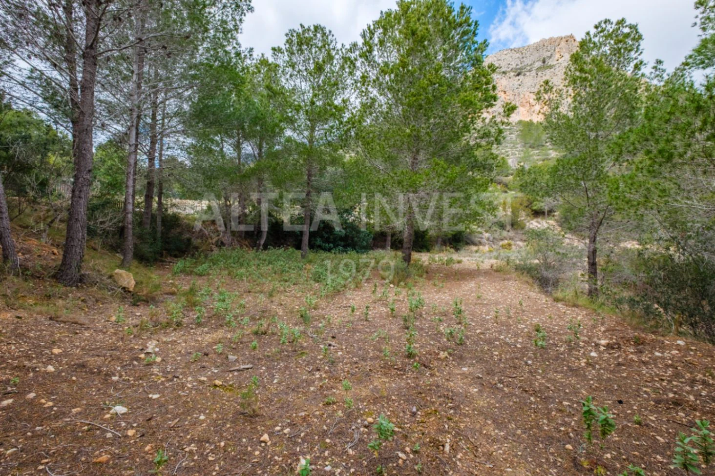 1536 - Charming country house with an active business in a natural setting between Finestrat and La Nucía