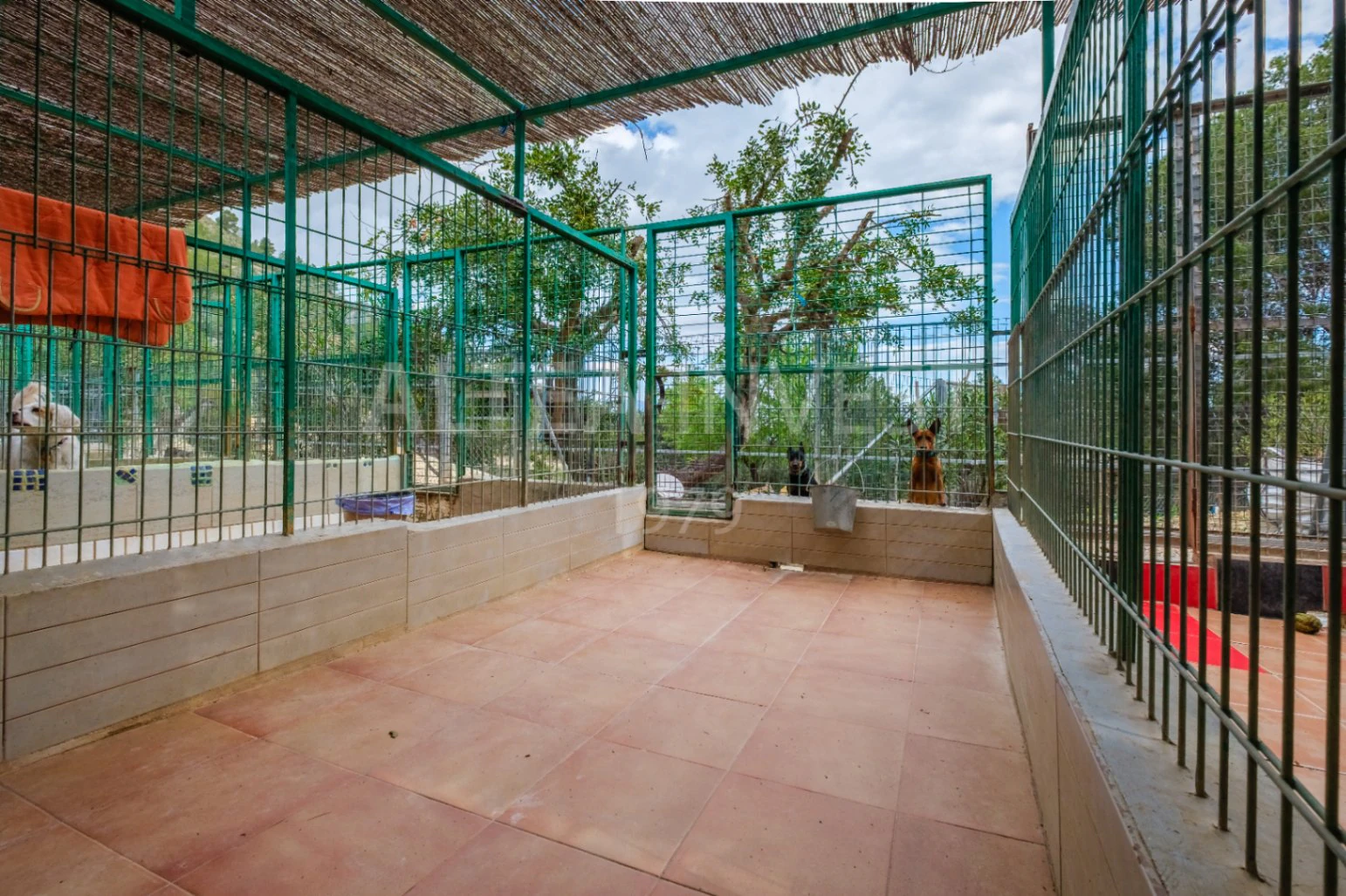 1536 - Charming country house with an active business in a natural setting between Finestrat and La Nucía