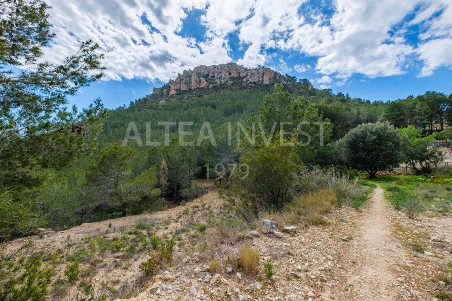 1536 - Charming country house with an active business in a natural setting between Finestrat and La Nucía