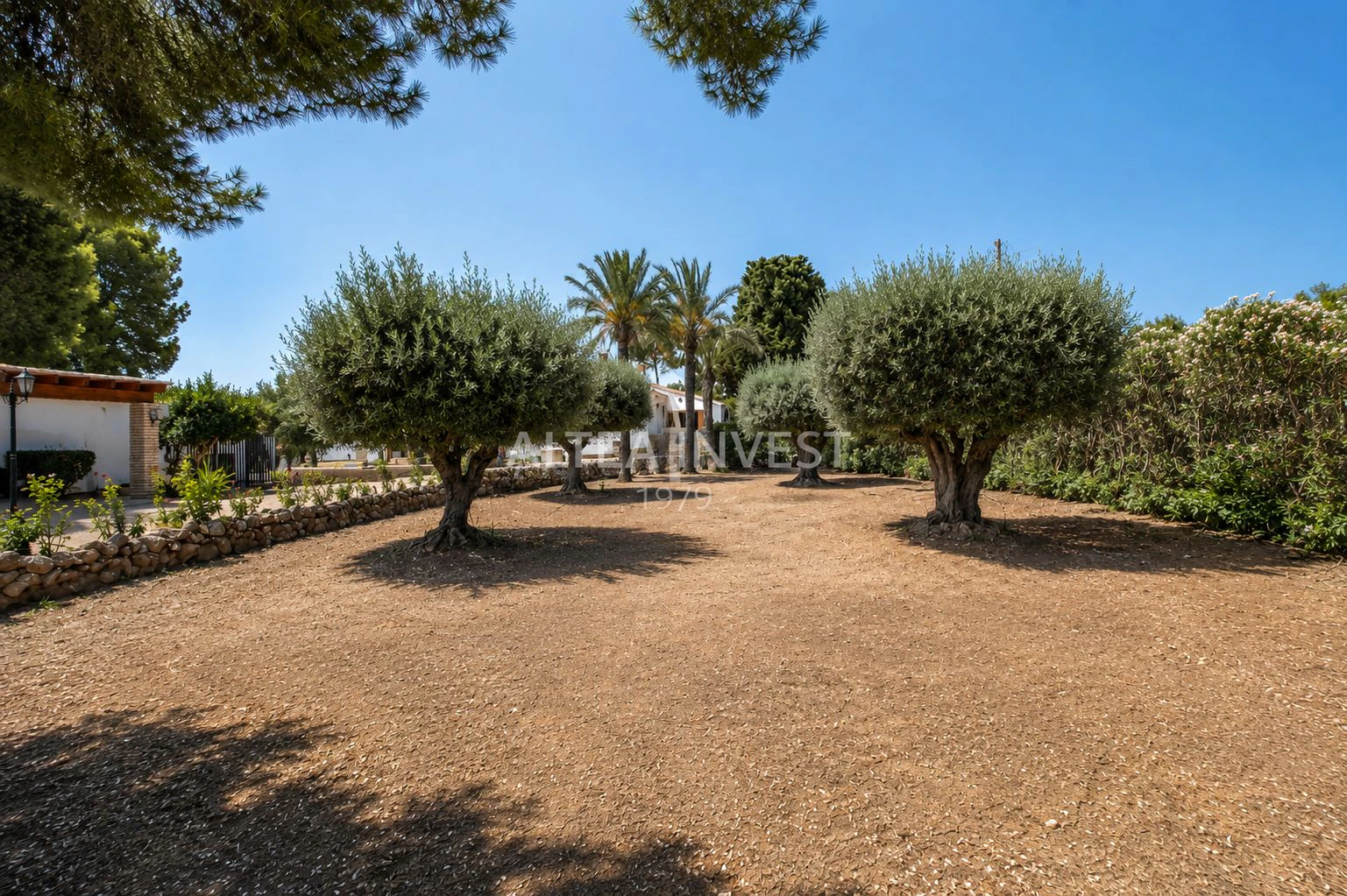 1428 - A Home with History, Warmth, and Character – Unique Mediterranean Farmhouse