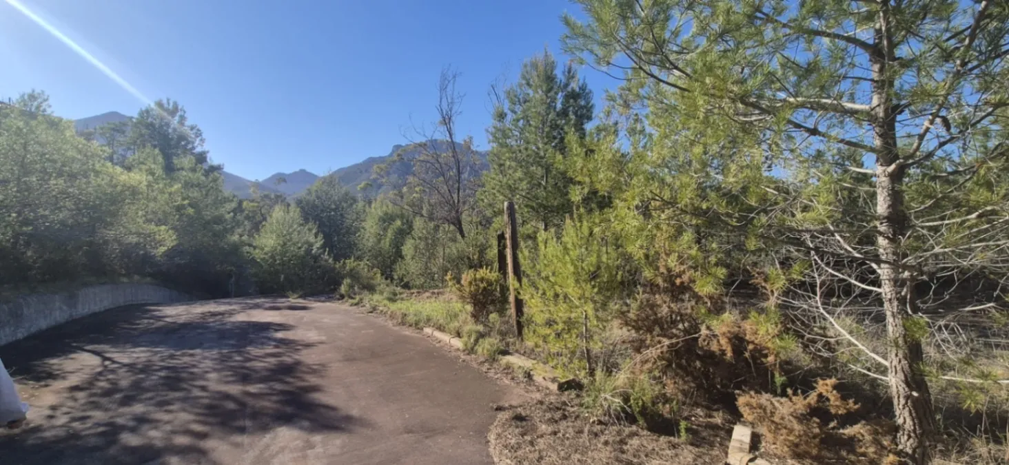 FINCA EXCLUSIVA CON ALTO POTENCIAL EN La Nucía