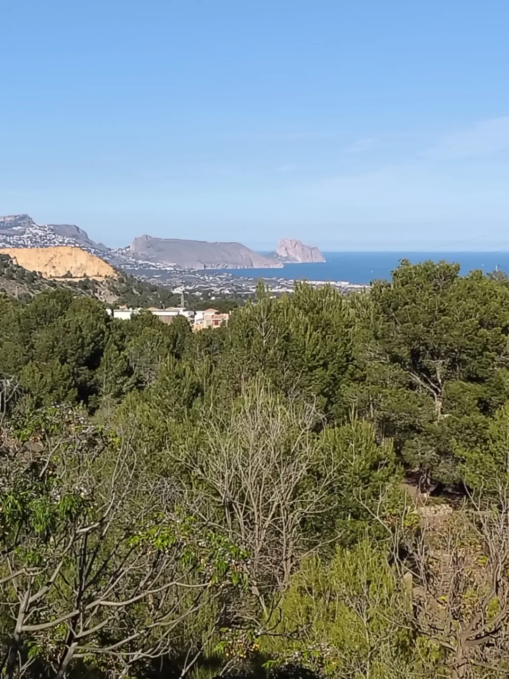 FINCA EXCLUSIVA CON ALTO POTENCIAL EN La Nucía