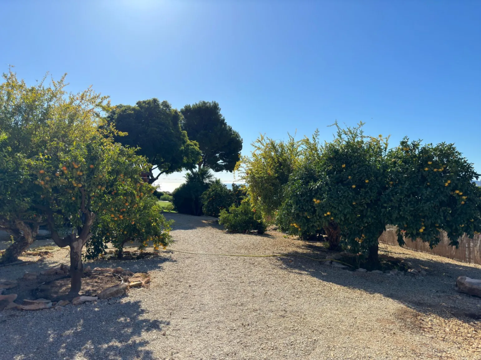 Rustic Style Villa for Sale in Altea La Vella