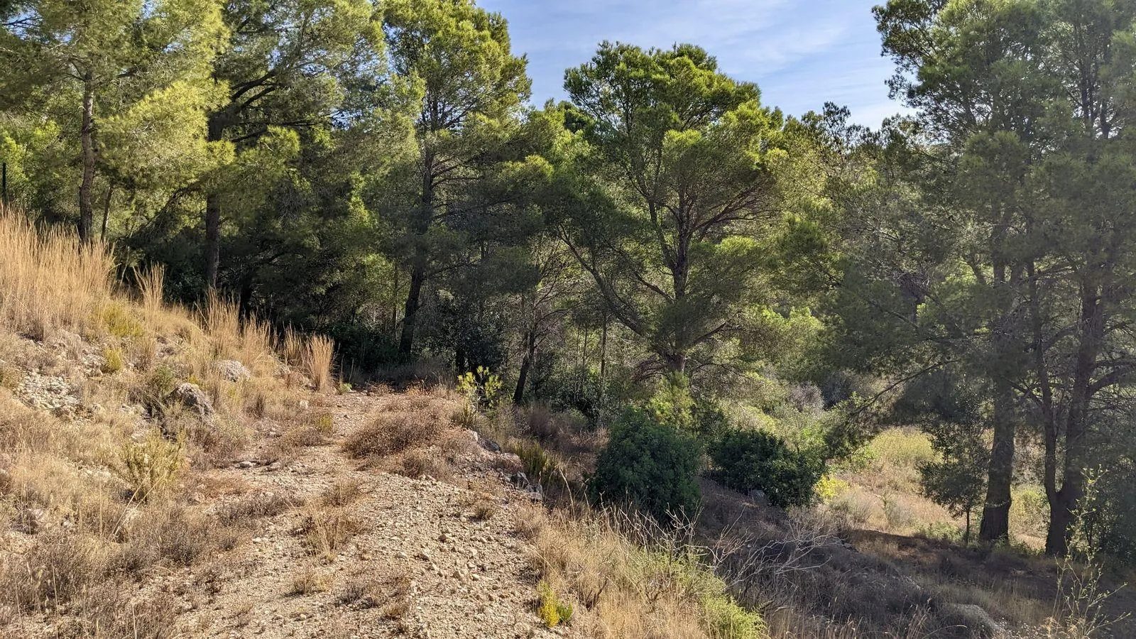 Parcela en venta en Altea la Vella, Alicante - 16,344 m²