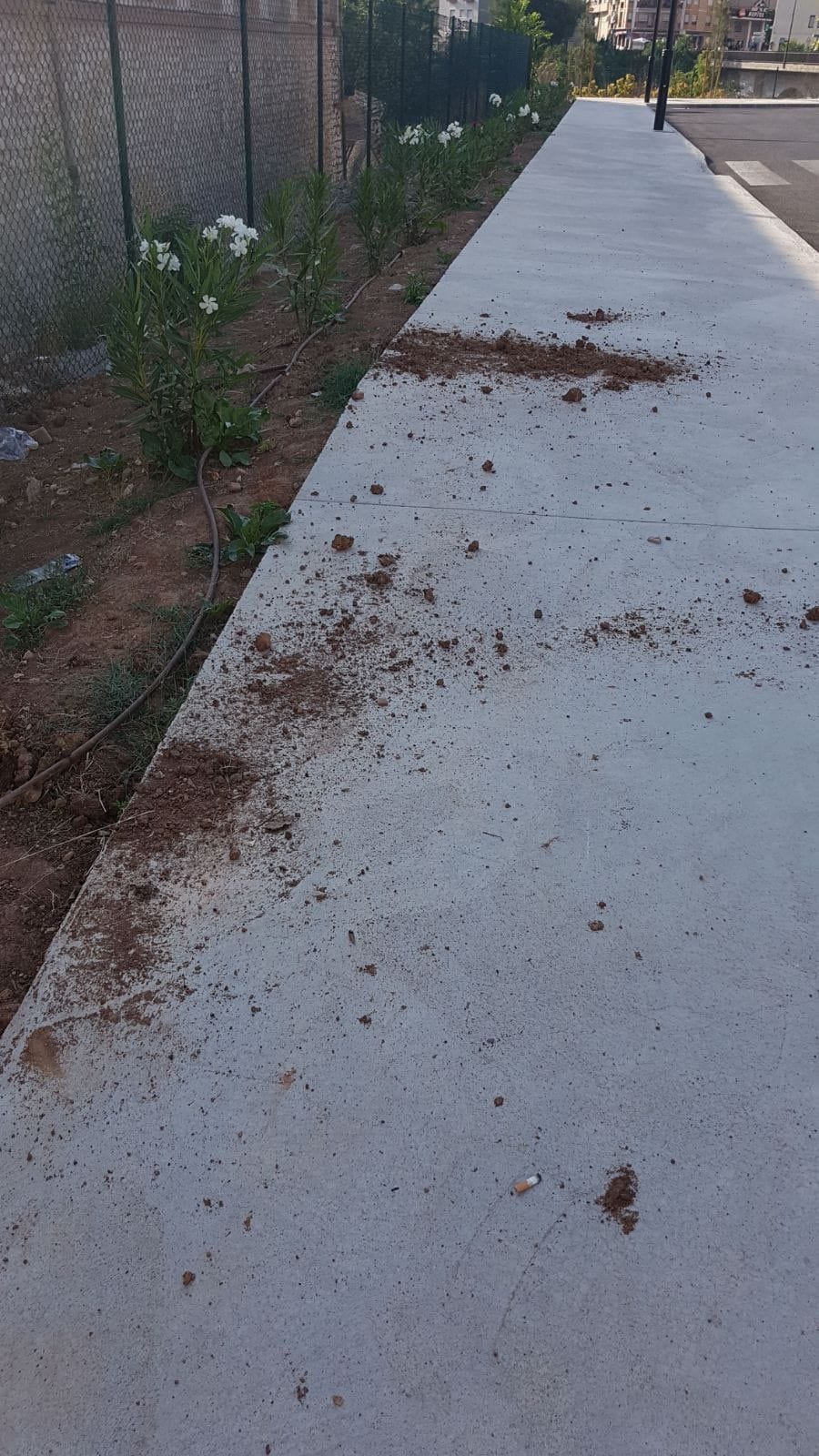 Desperfectos y actos vandálicos en el parking de Paduana de Ontinyent