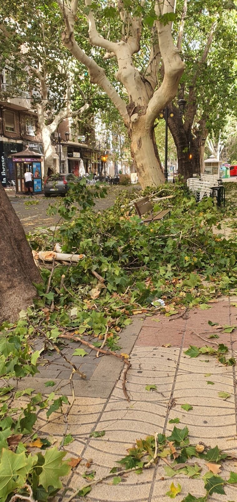 Incidente en la Alameda de Xàtiva