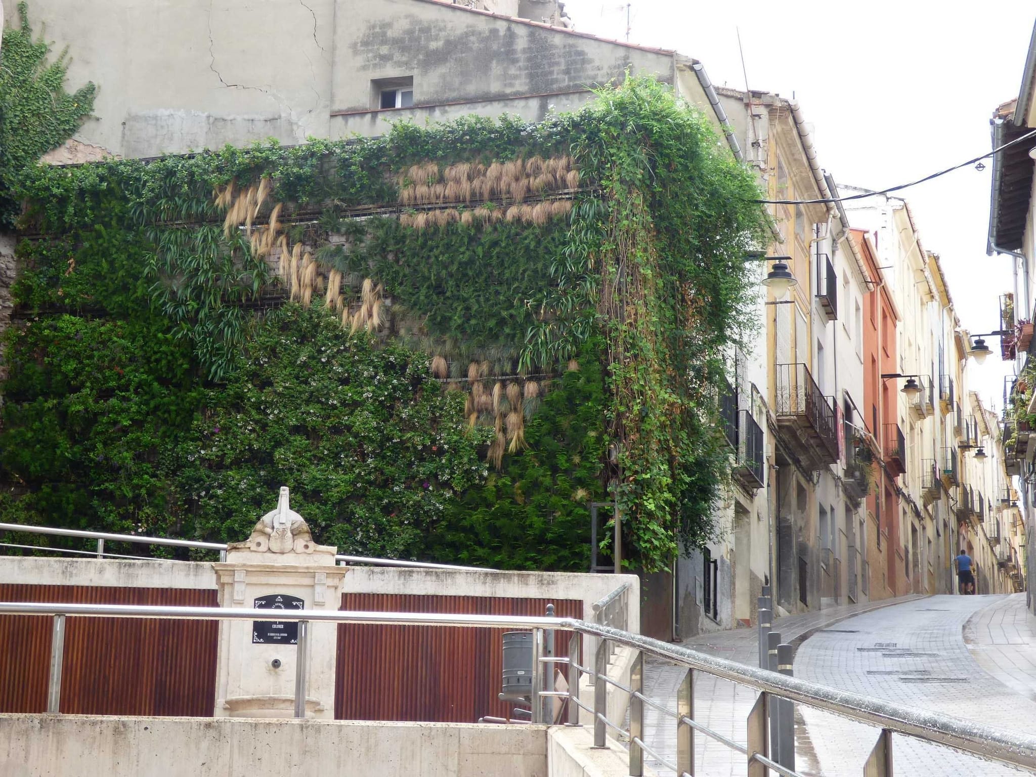 Jardín vertical Ontinyent de la Fuente de los Violines renovado.