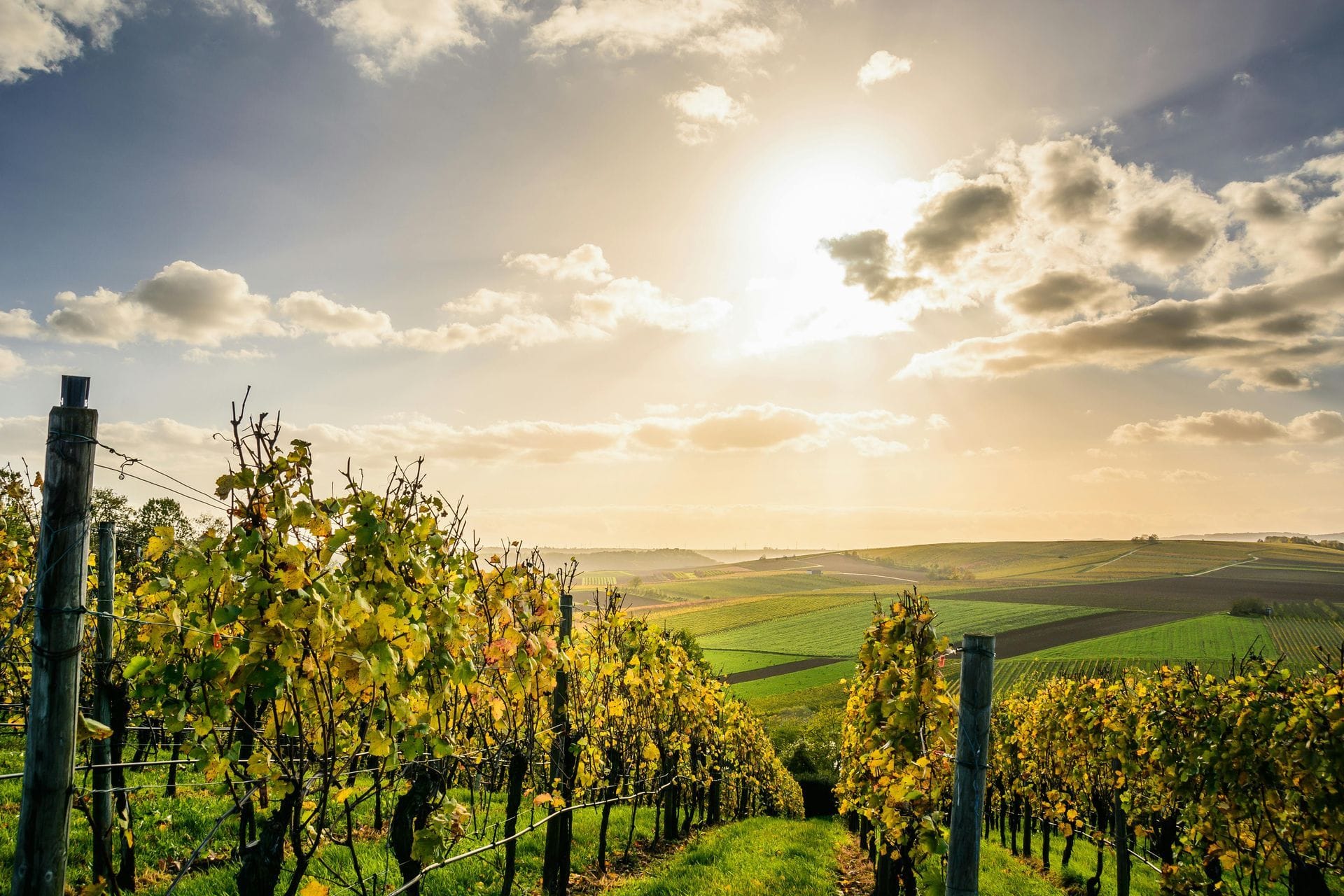 La toscana valenciana acapara los Premios Parker con sus vinos