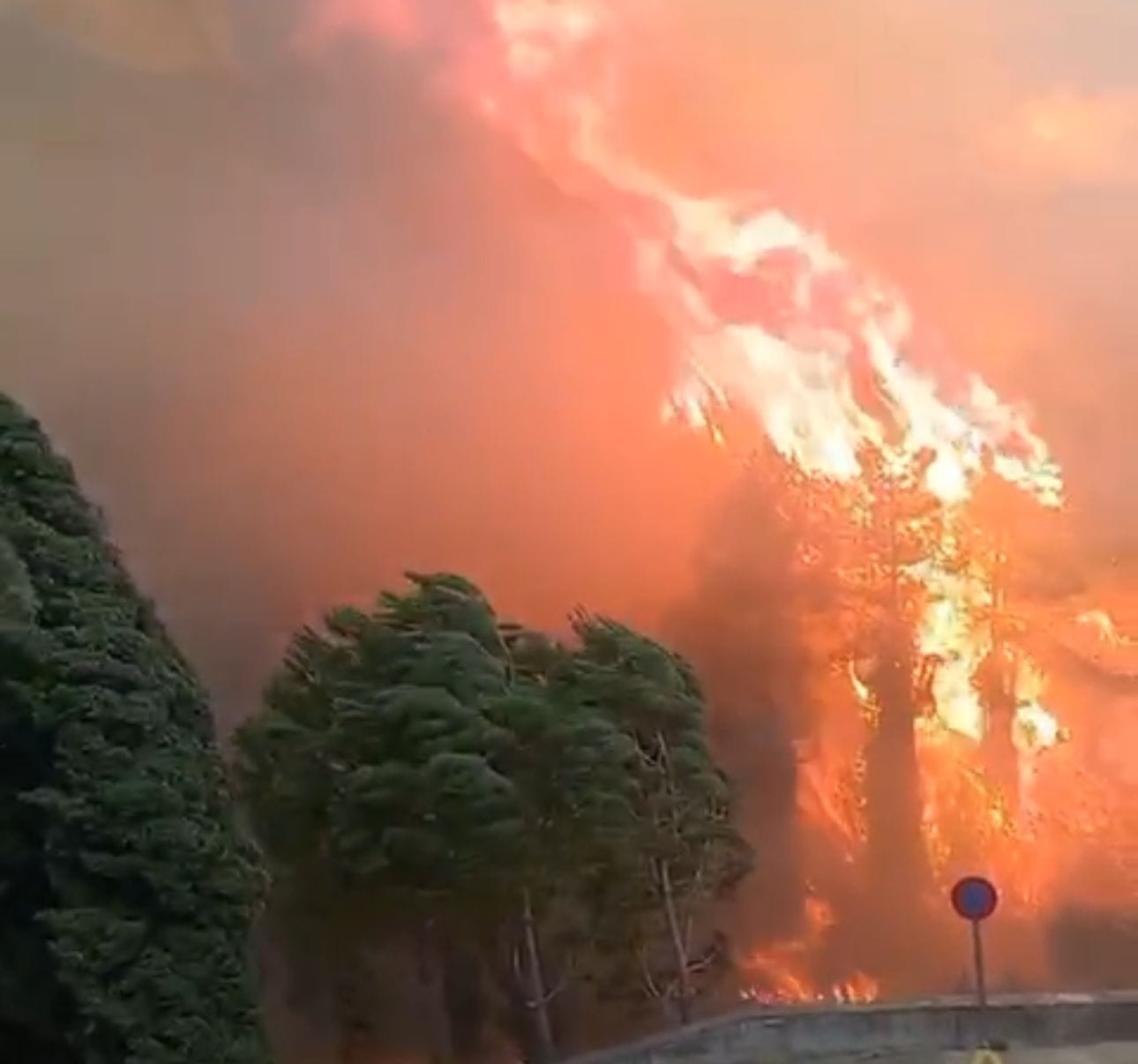 Bomberos combaten un incendio entre Montixelvo y Terrateig.