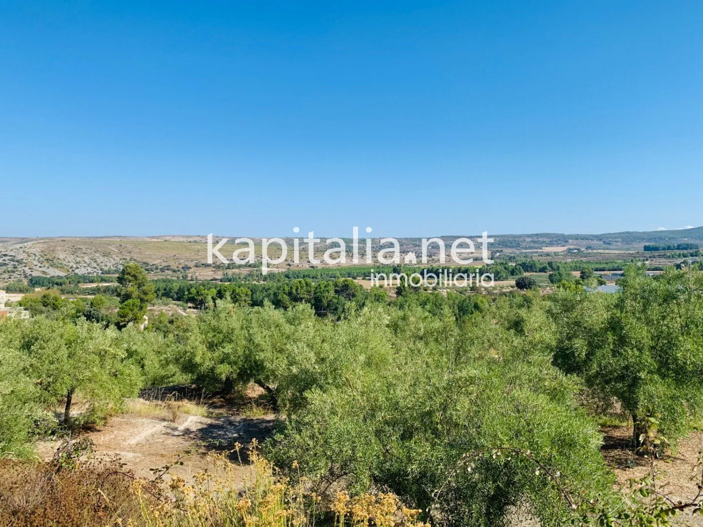 Parcela a la venta en Alfafara.