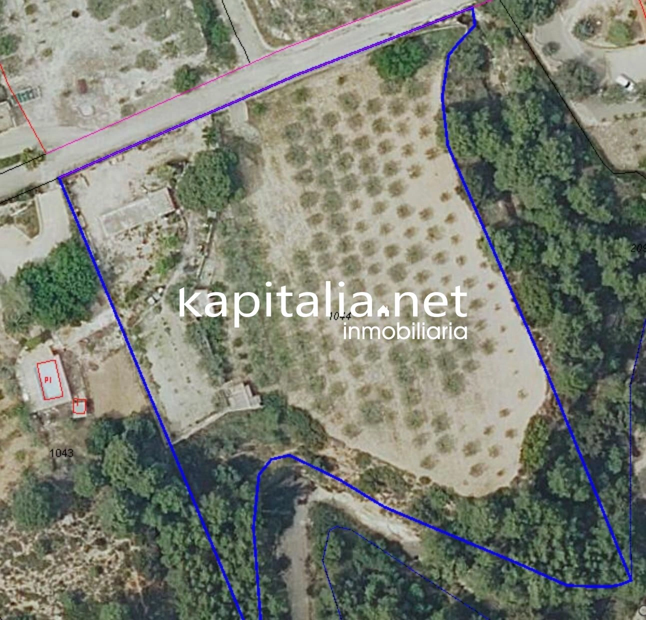 Eigendom te Verkoop in Ontinyent