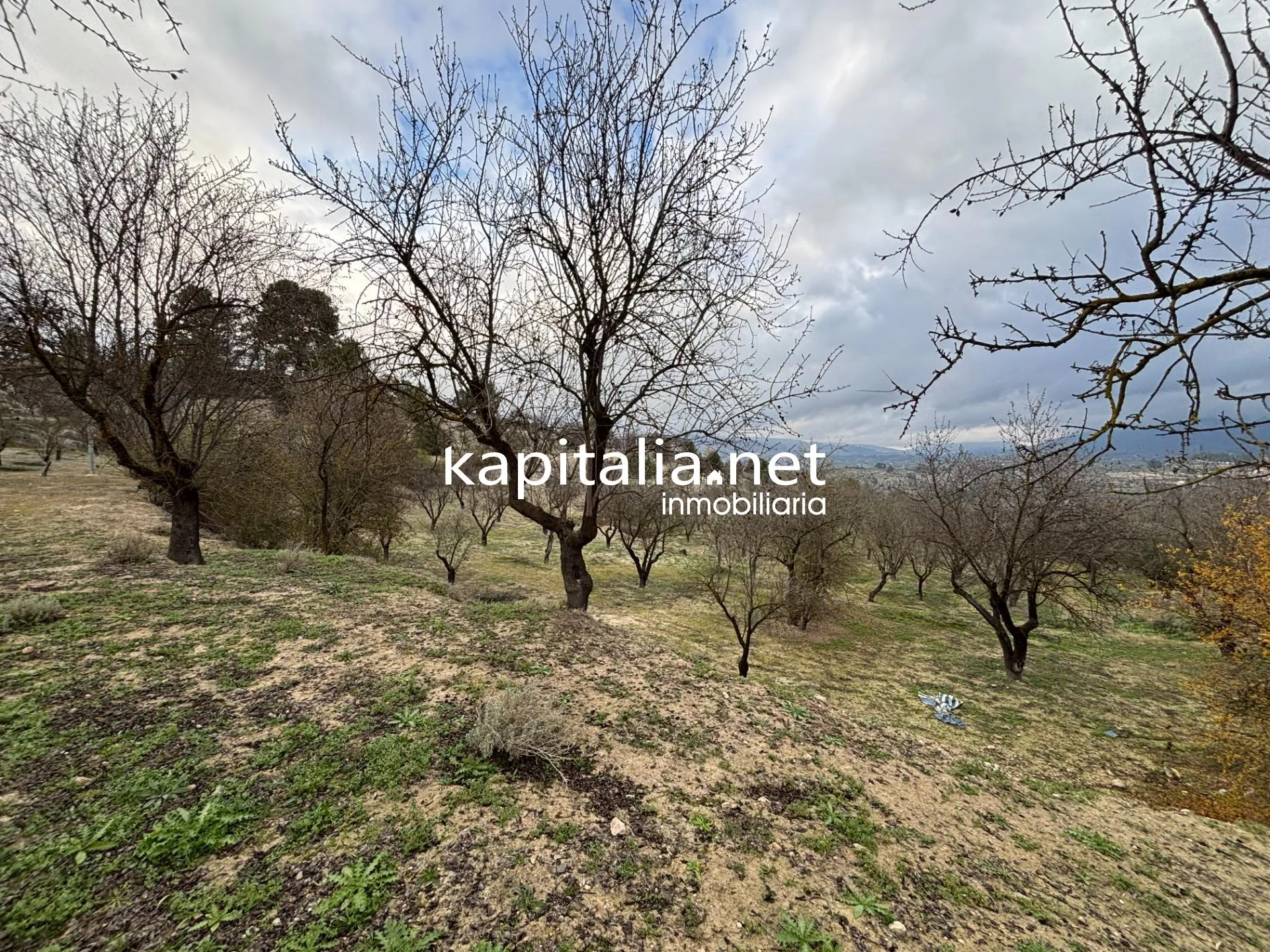 Finca con mucho terreno en Benilloba