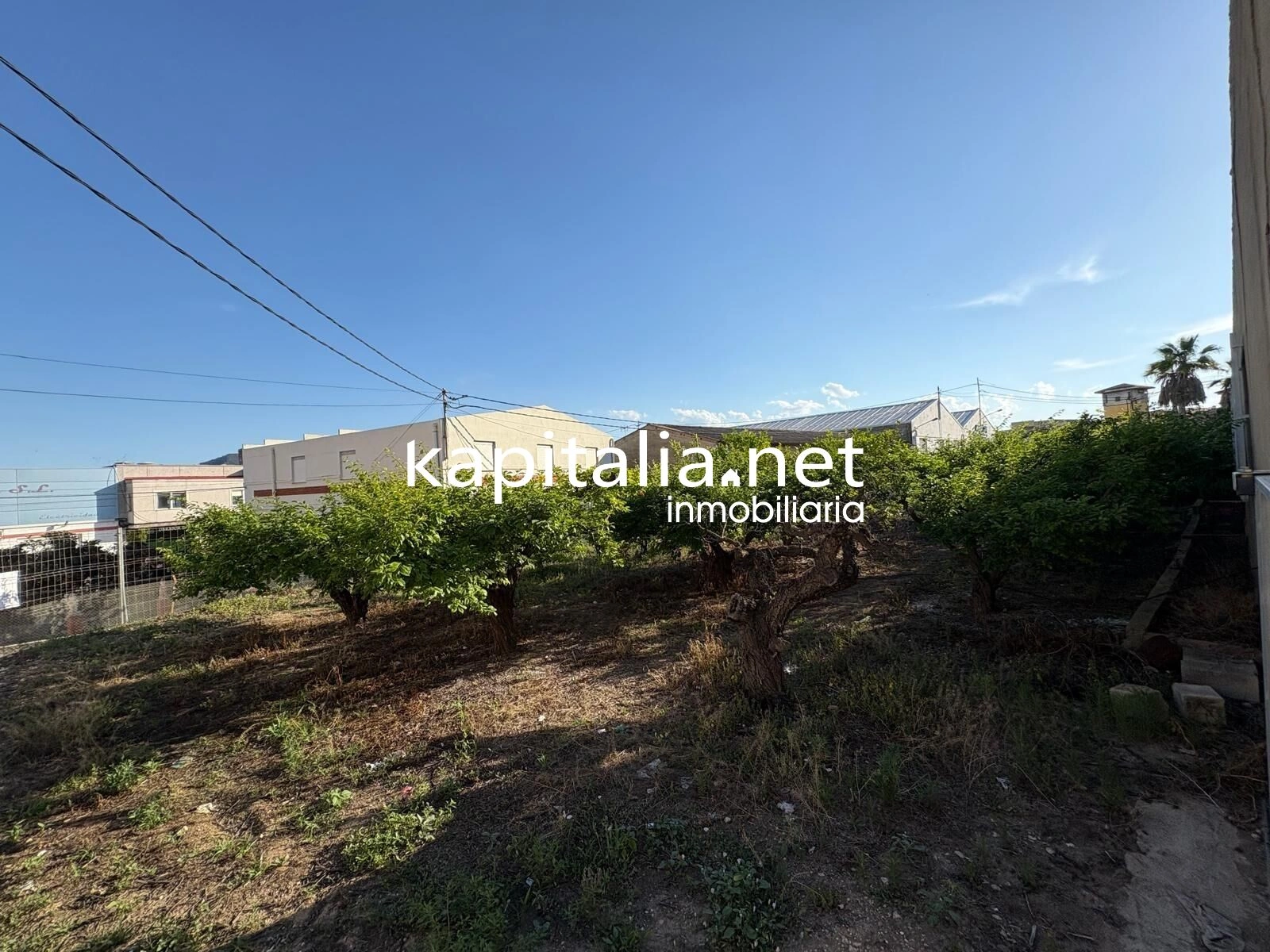 09934 - Immobilie zum Verkauf in La Llosa de Ranes