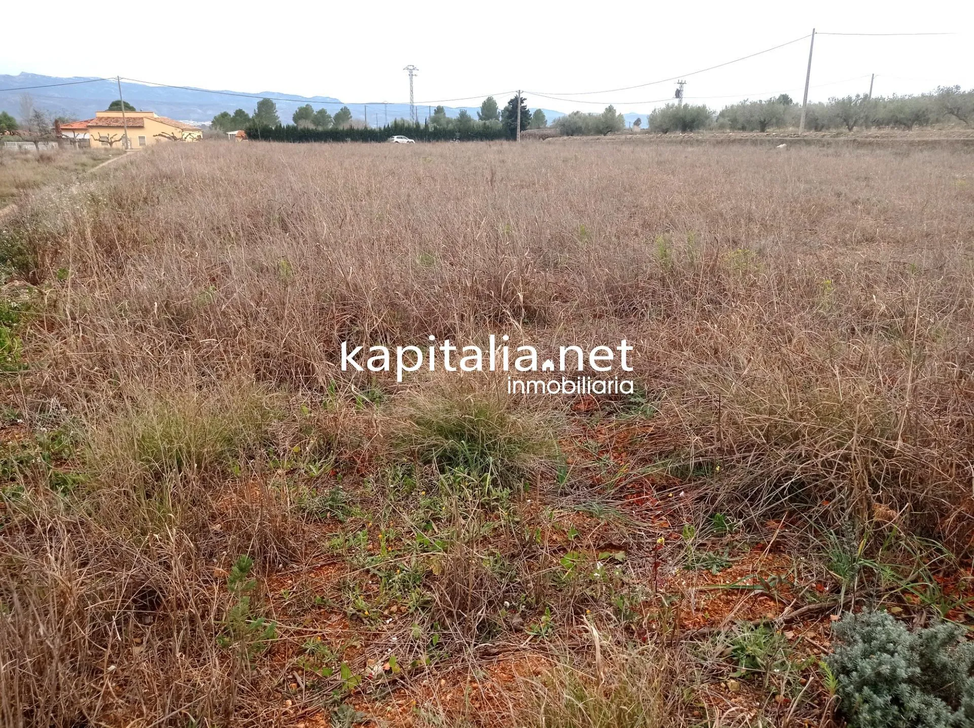09680 - TERRENO A LA VENTA EN AIELO DE MALFERIT CON CASITA DE APEROS