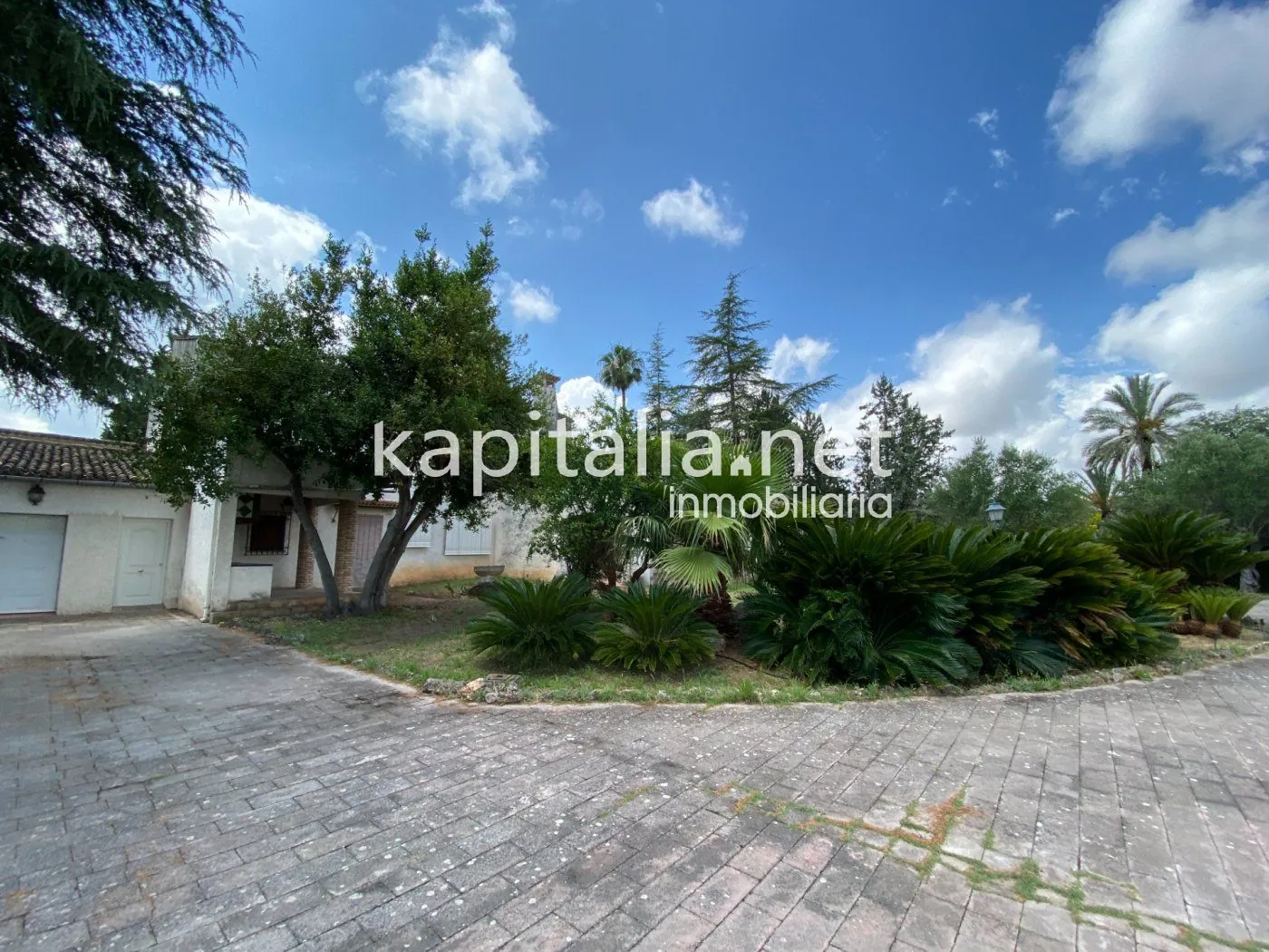 06306 - ESPECTACULAR FINCA A LA VENTA EN ALBAIDA