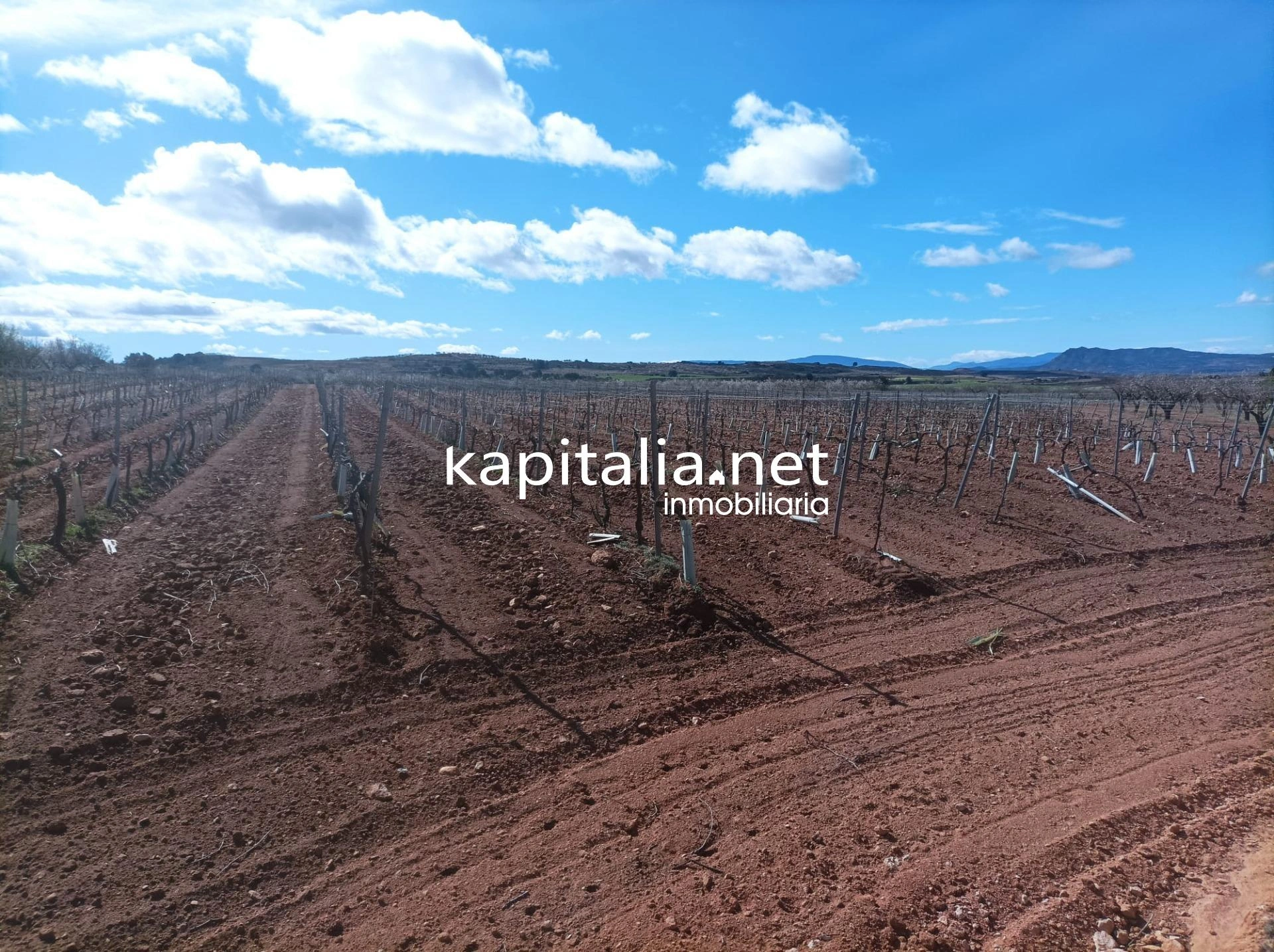 FINCA RUSTICA A LA VENTA