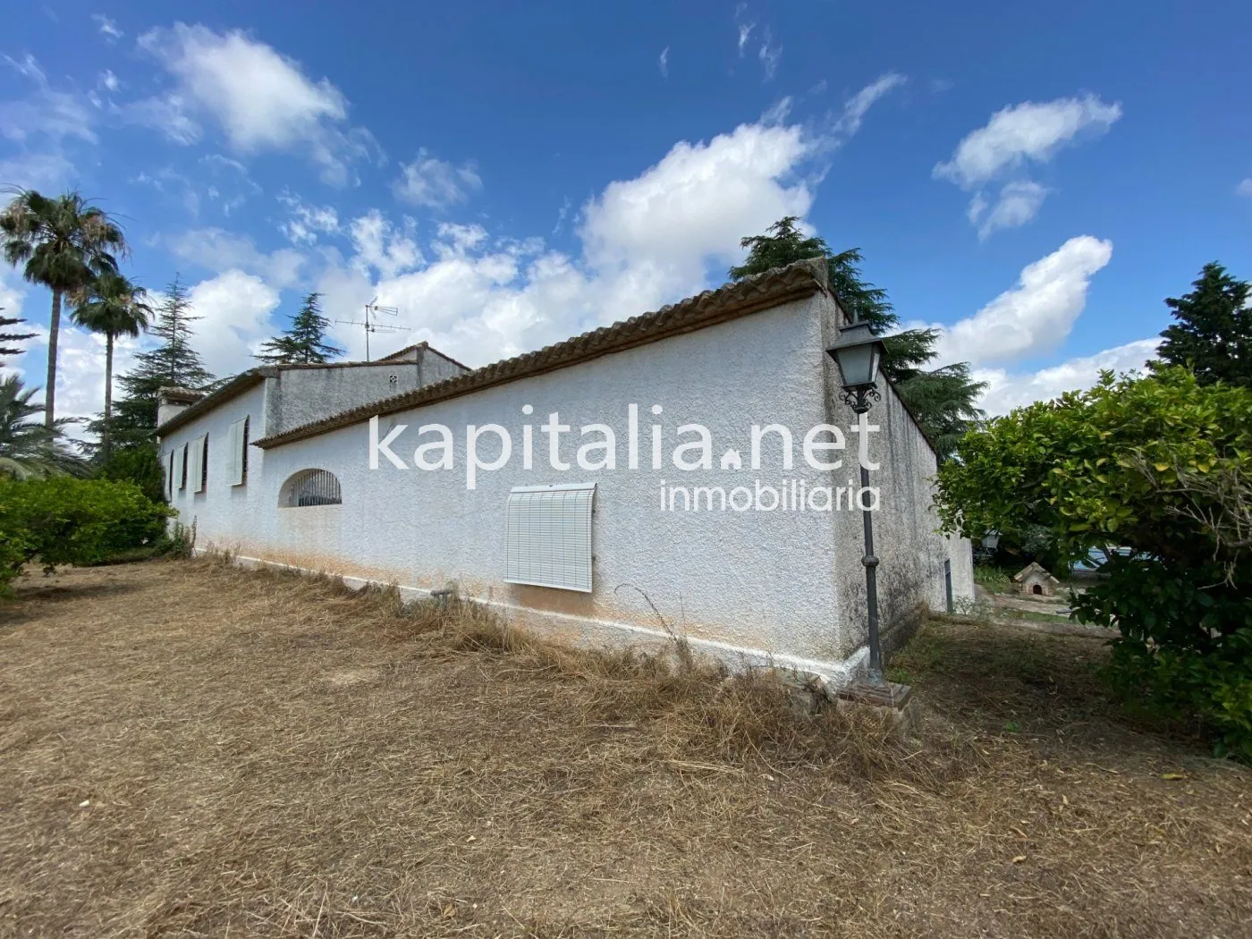 06306 - ESPECTACULAR FINCA A LA VENTA EN ALBAIDA