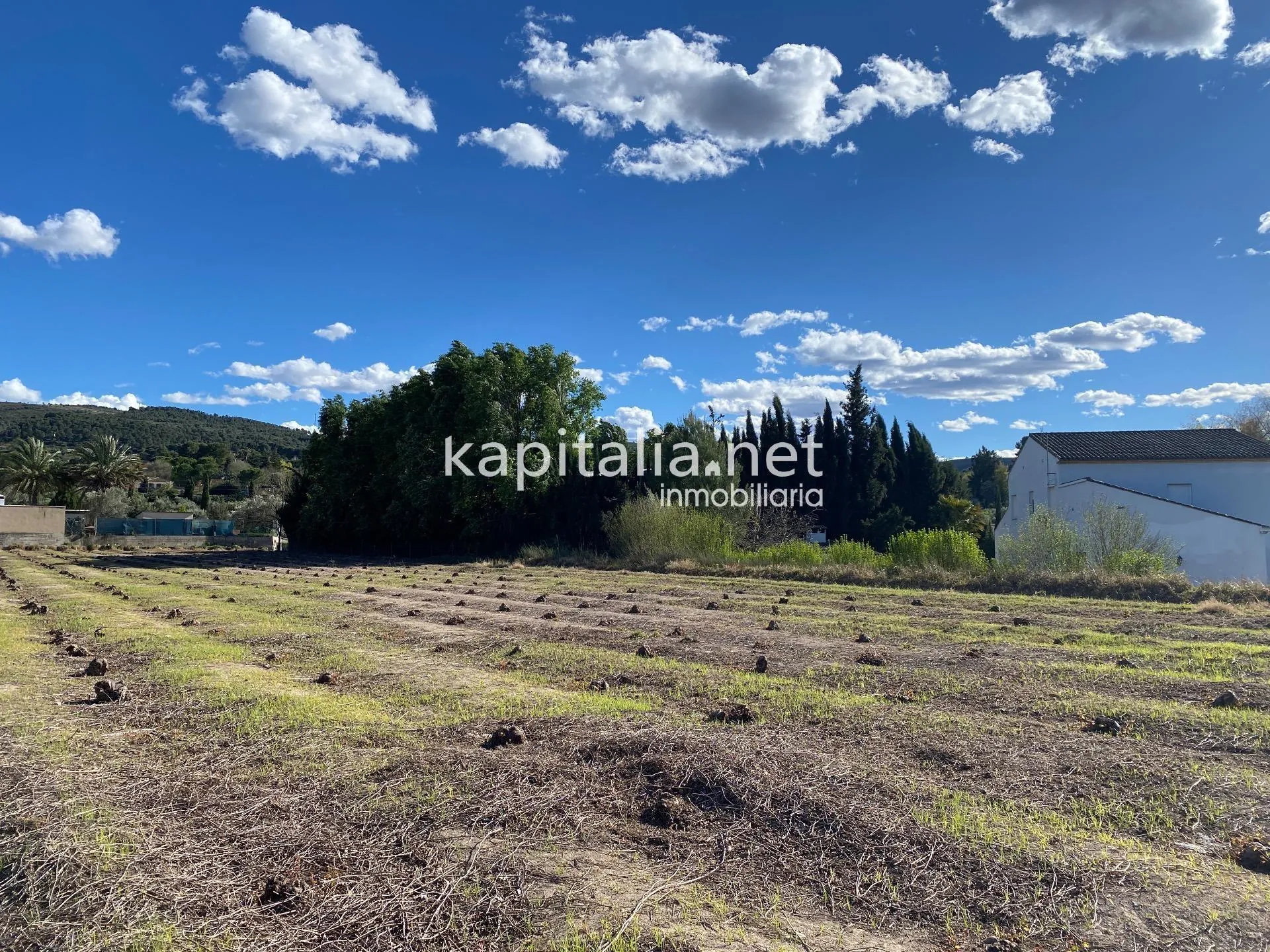08219 - Terrenos agrícolas en venta en Ontinyent