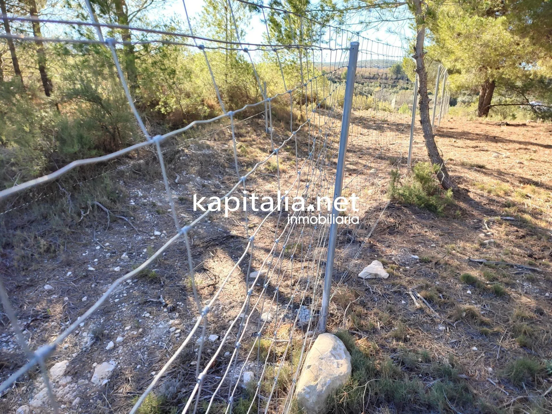 08891 - CASA CON TERRENO Y ALMACEN A LA VENTA EN ONTINYENT, UBICADA EN LA ZONA DE MORERA.