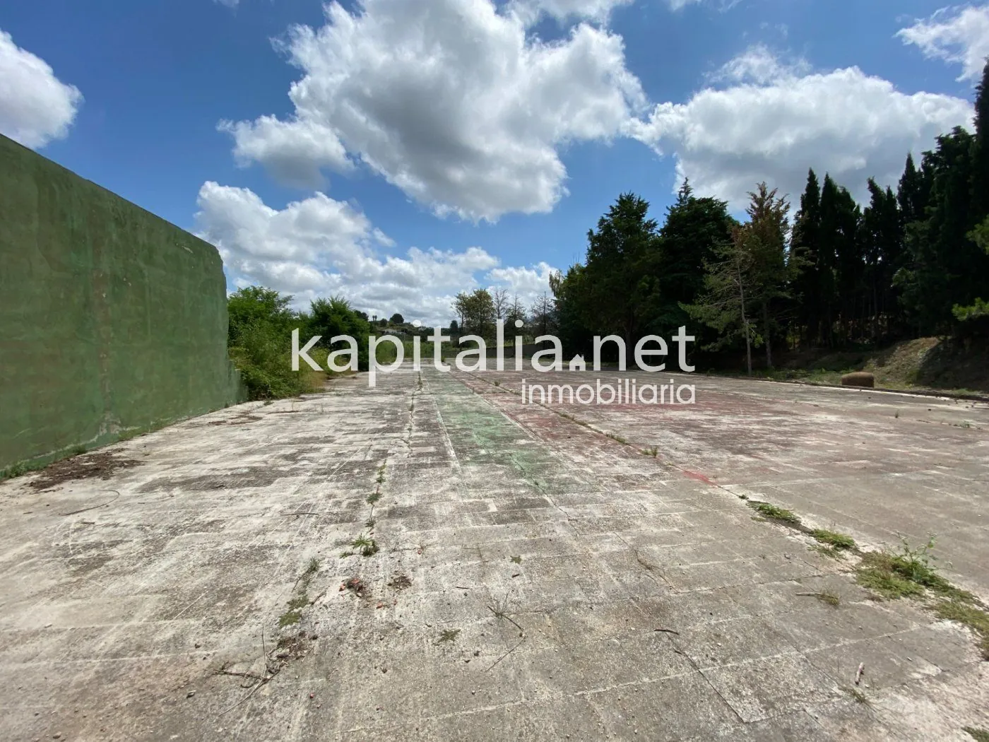 06306 - ESPECTACULAR FINCA A LA VENTA EN ALBAIDA