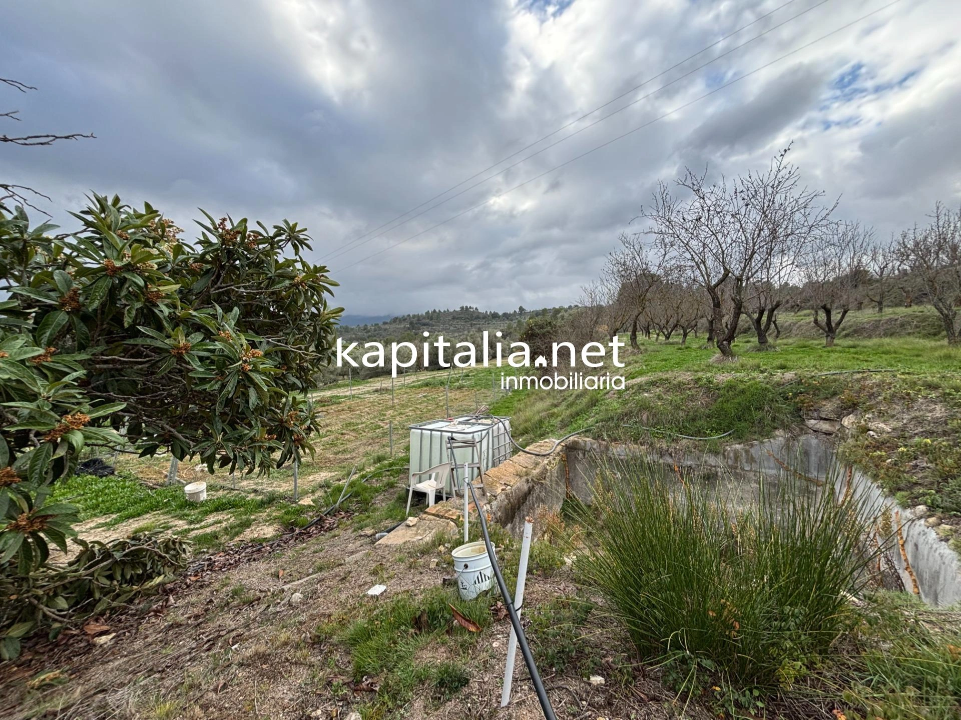Finca con mucho terreno en Benilloba