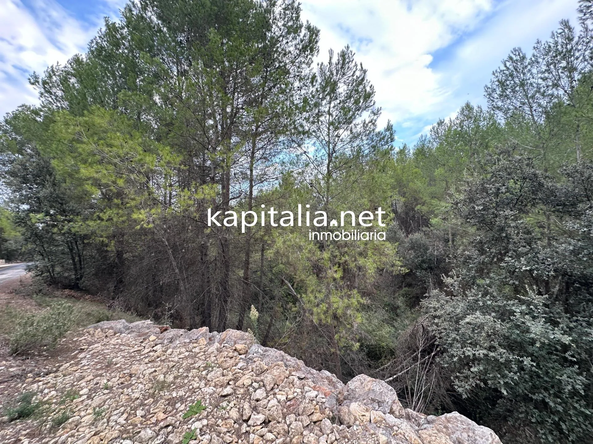 09442 - Parcela a la venta en Alfafara