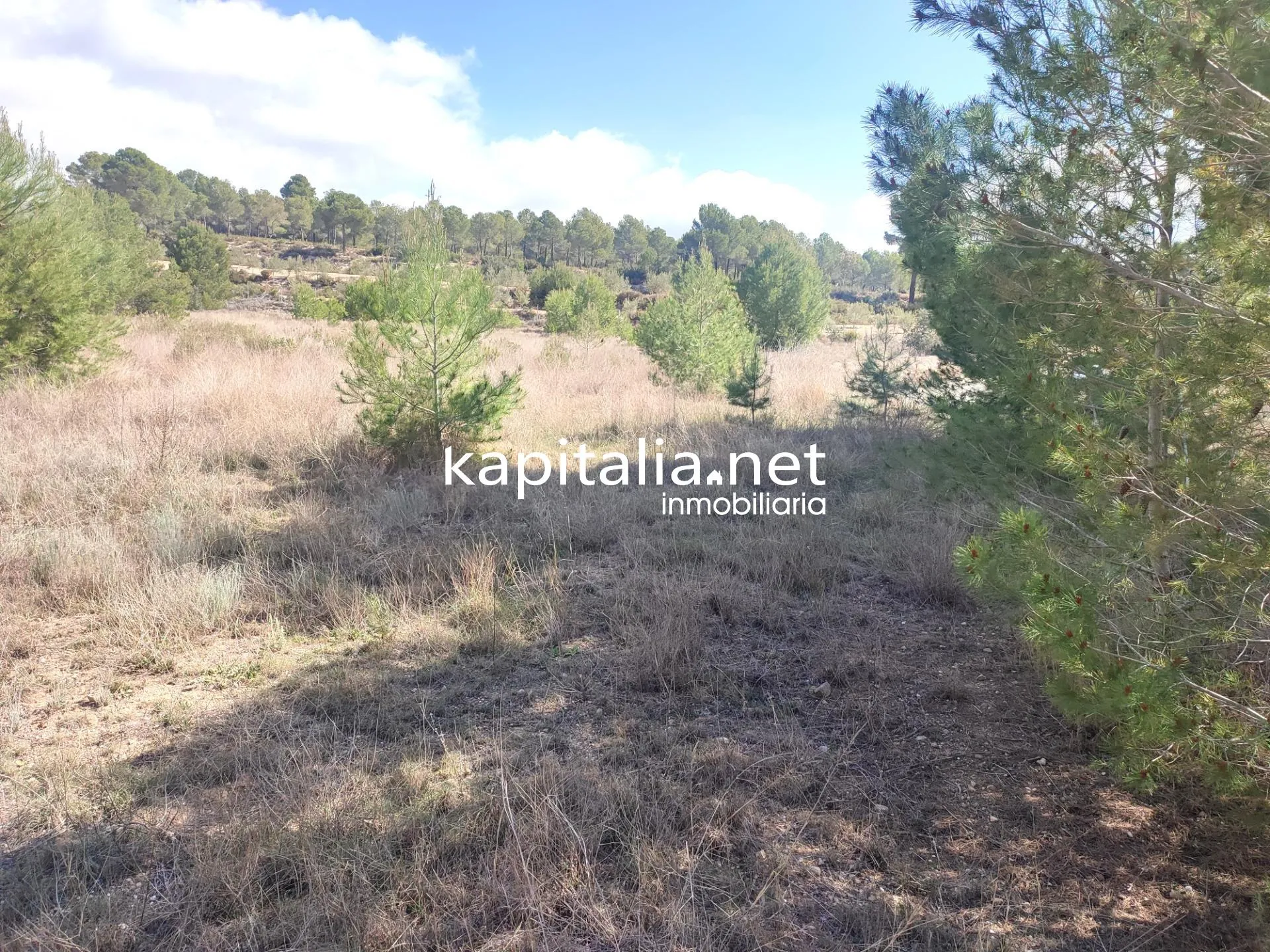 09274 - TERRENO NO URBANIZABLE A LA VENTA EN ONTINYENT, ZONA DE TODOS LOS VIENTOS