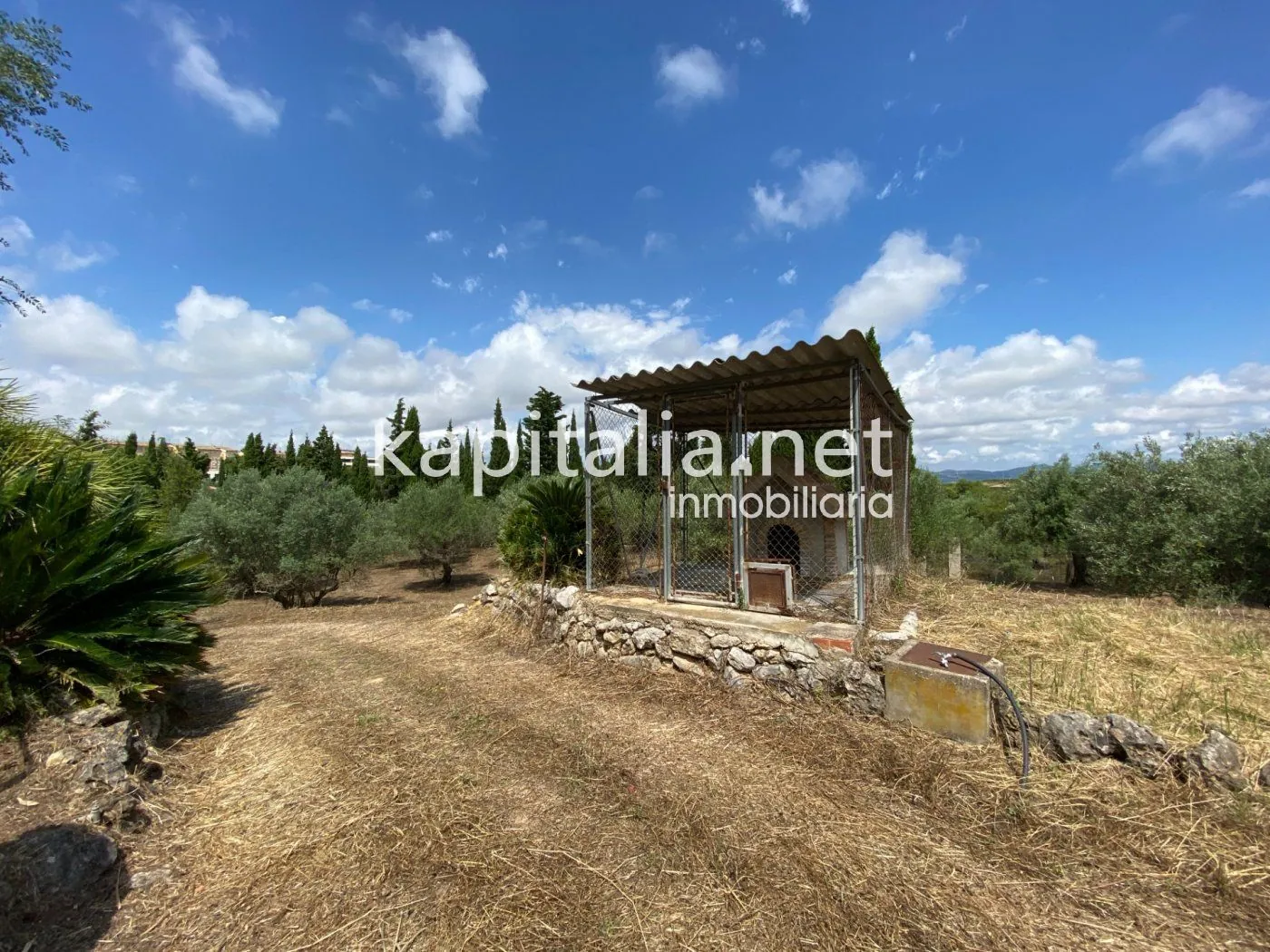 06306 - ESPECTACULAR FINCA A LA VENTA EN ALBAIDA