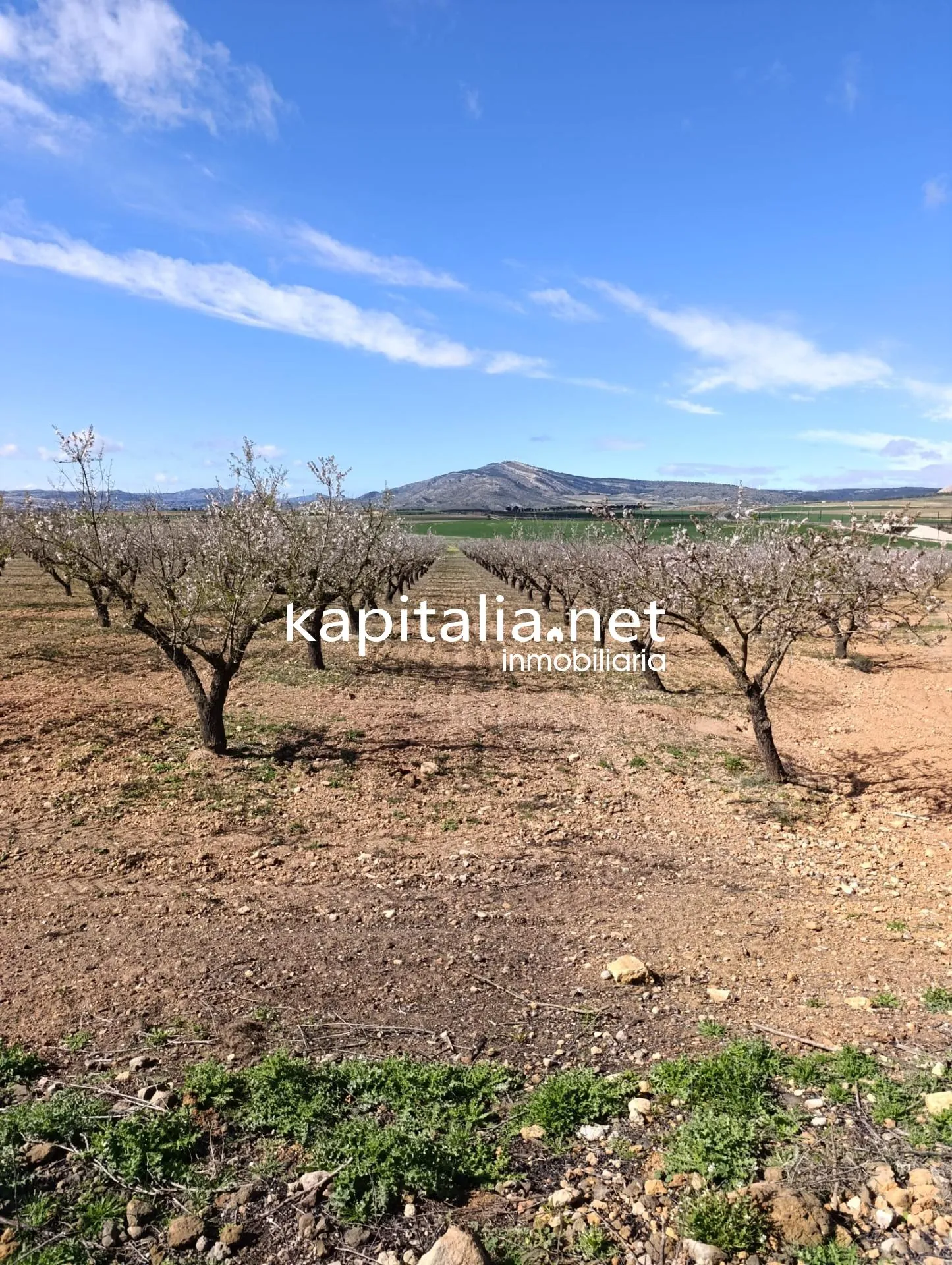FINCA RUSTICA A LA VENTA